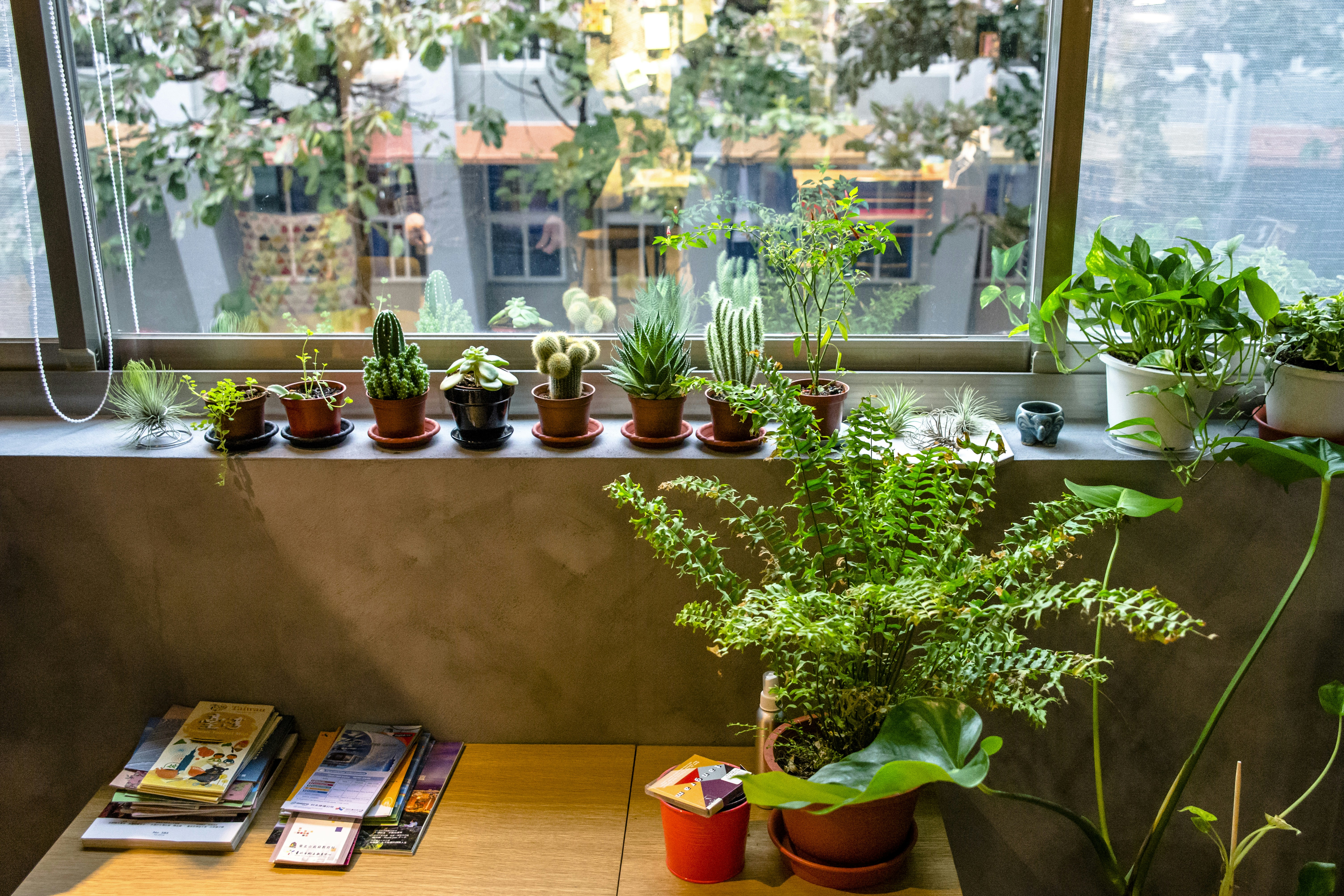 Plants interior design