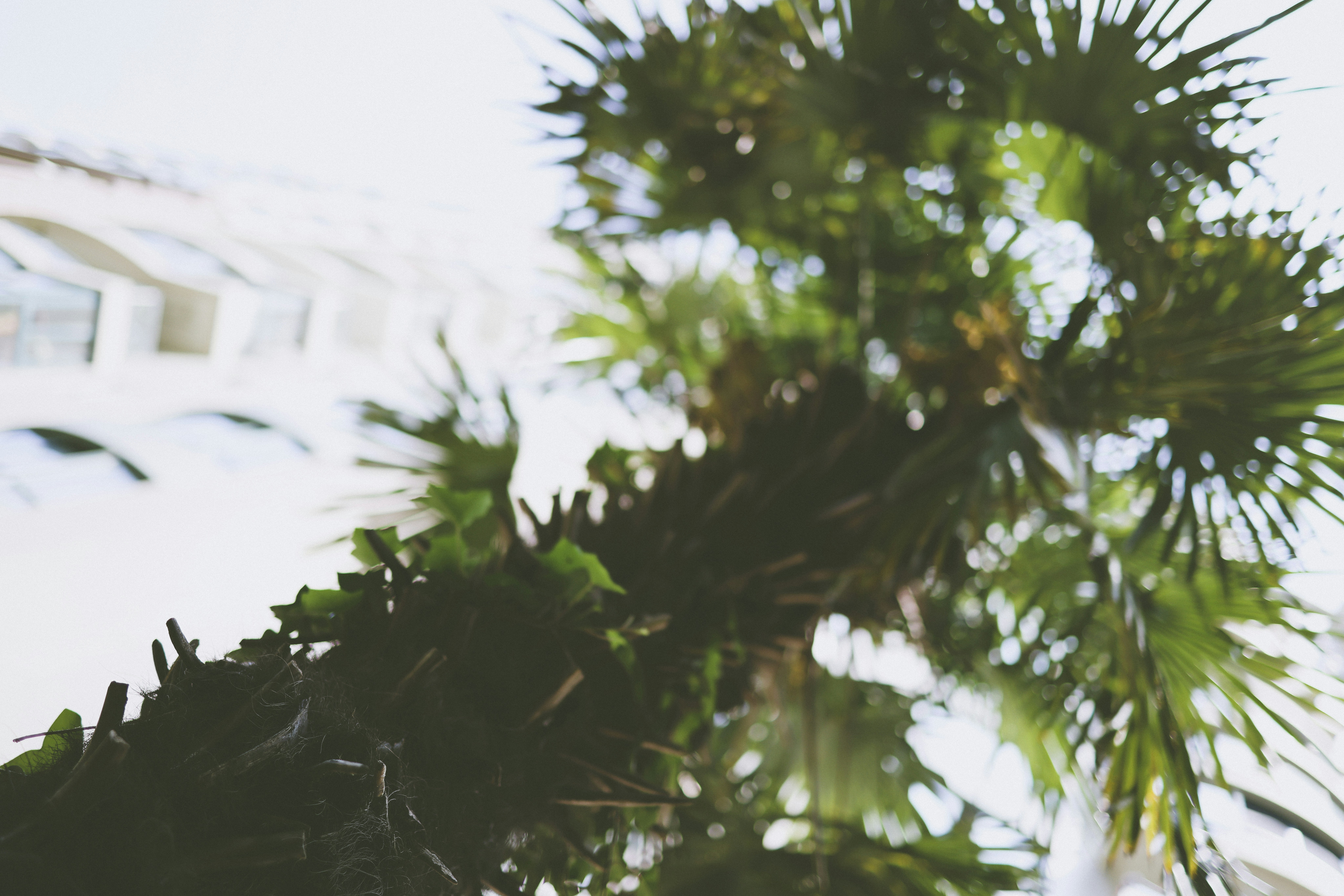 Photo by arttoinspire