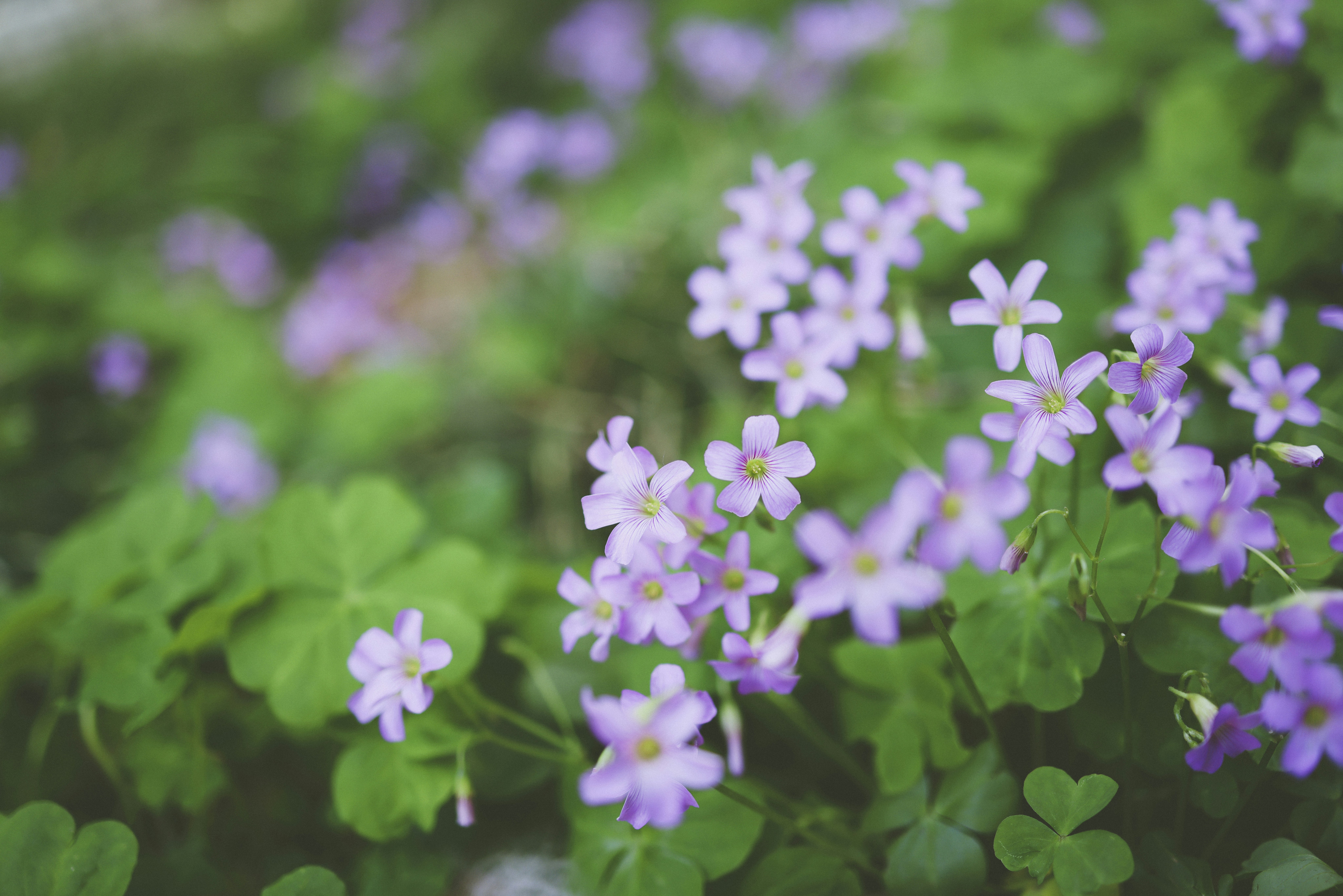 Photo by arttoinspire