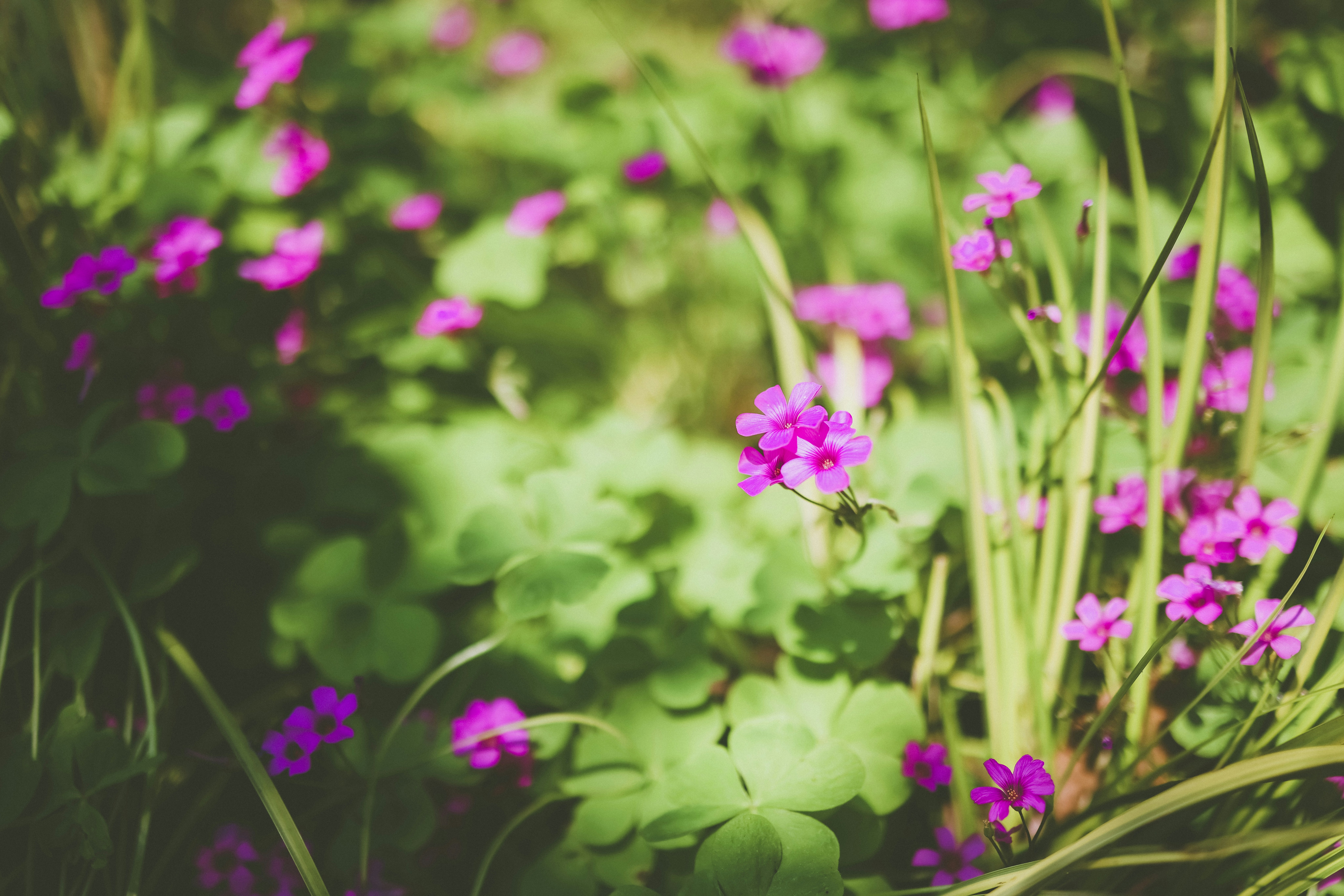 Photo by arttoinspire