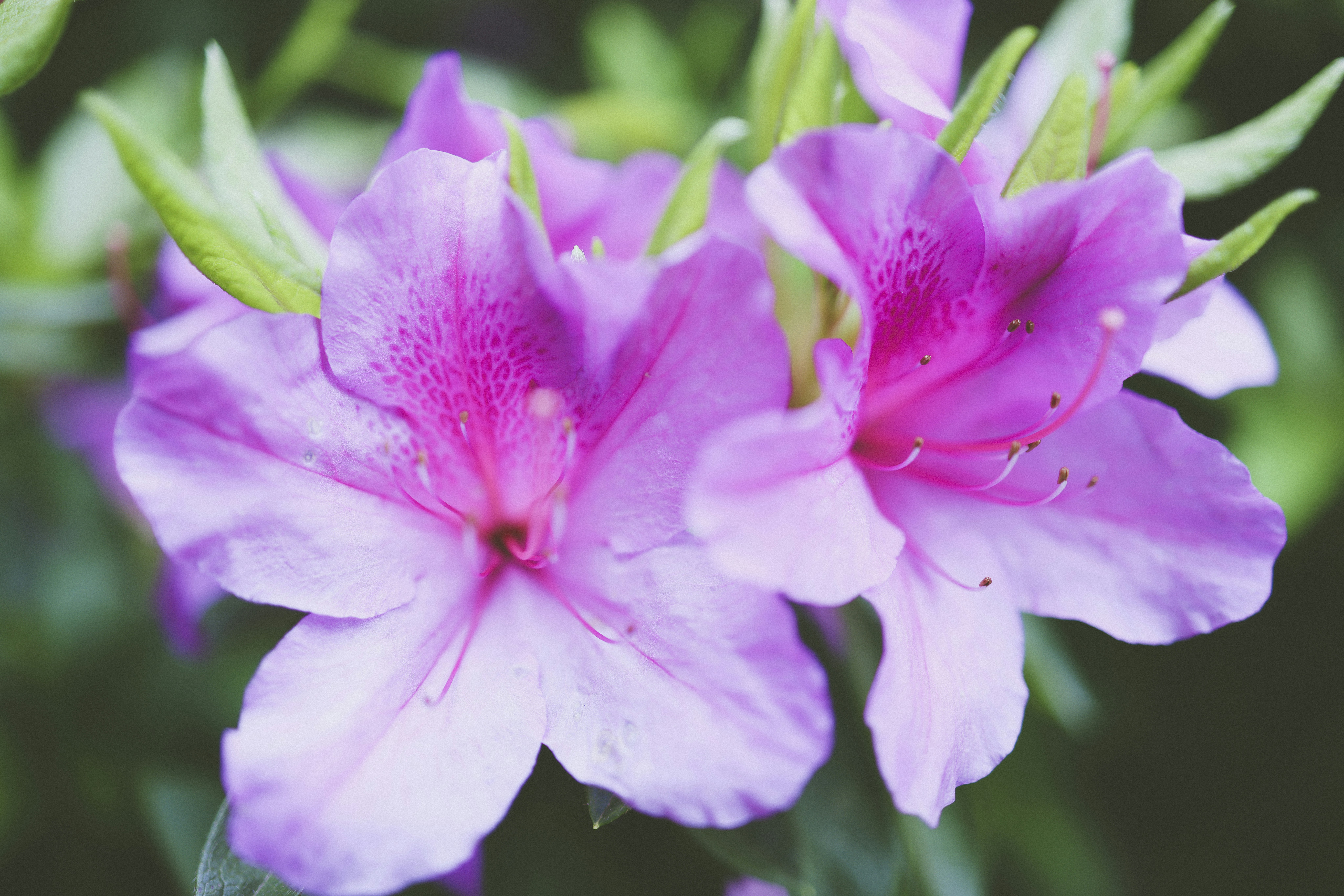 Photo by arttoinspire