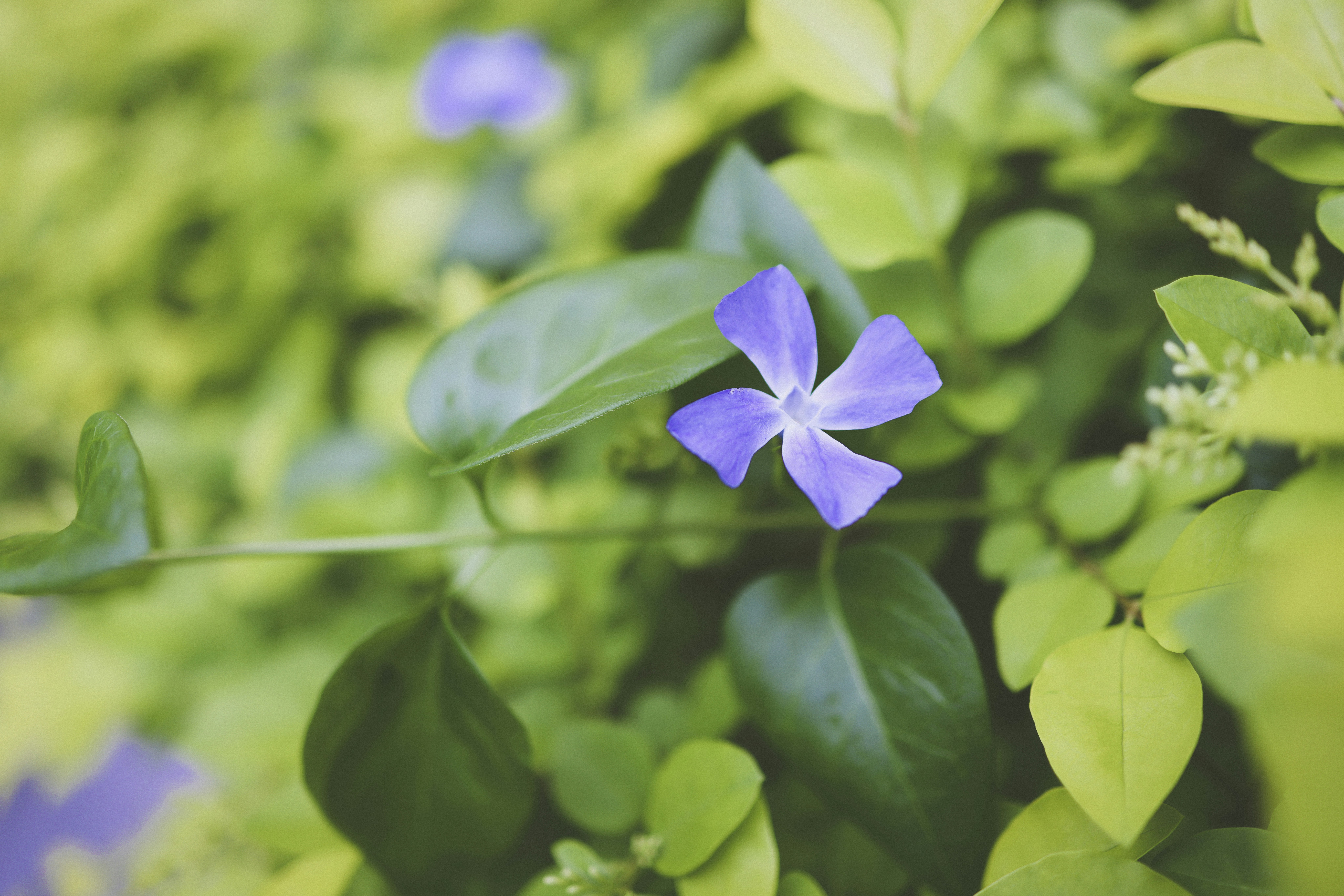 Photo by arttoinspire