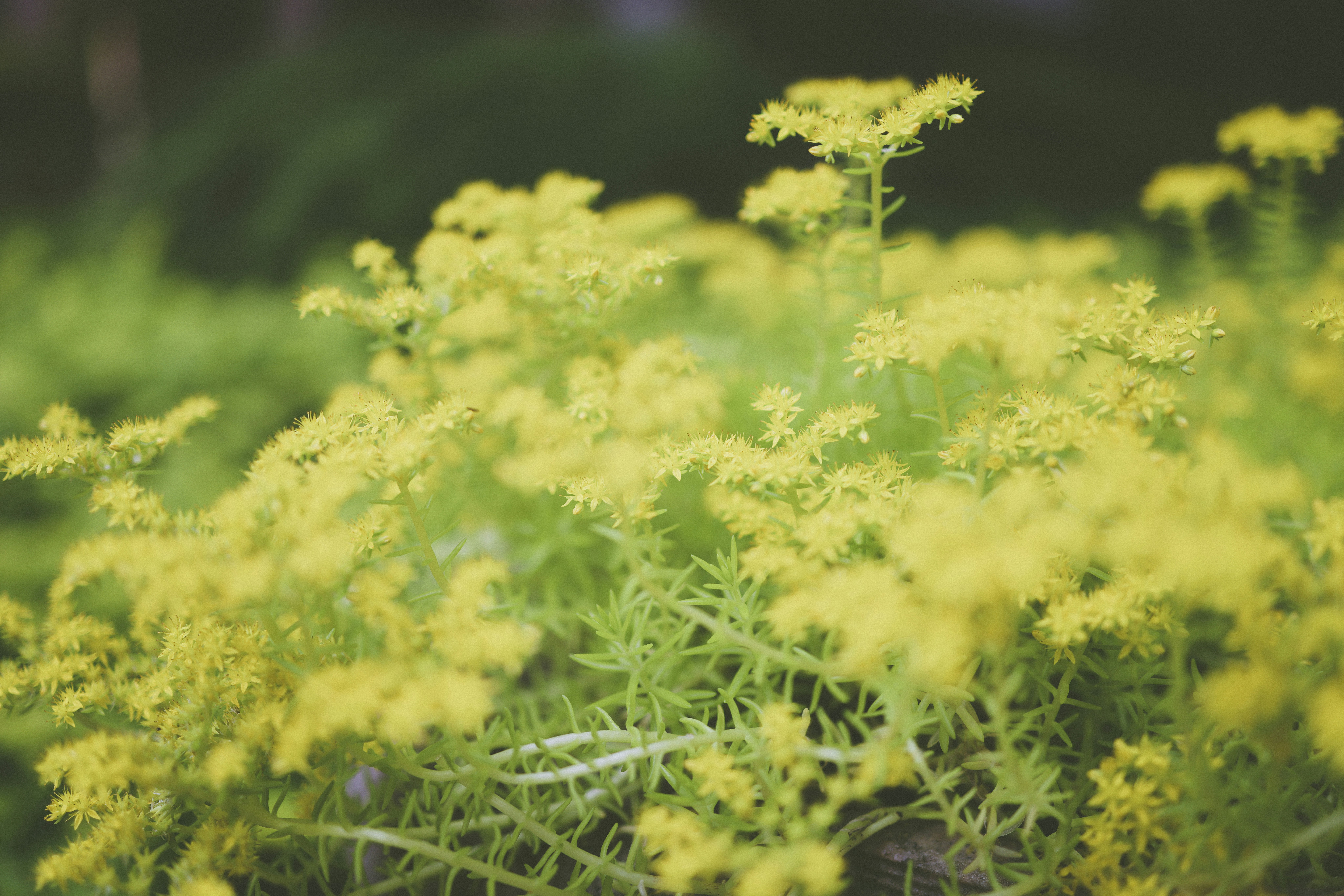 Photo by arttoinspire