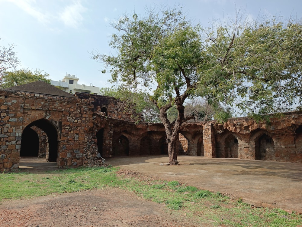 a tree in front of a brick wall and a stone wall