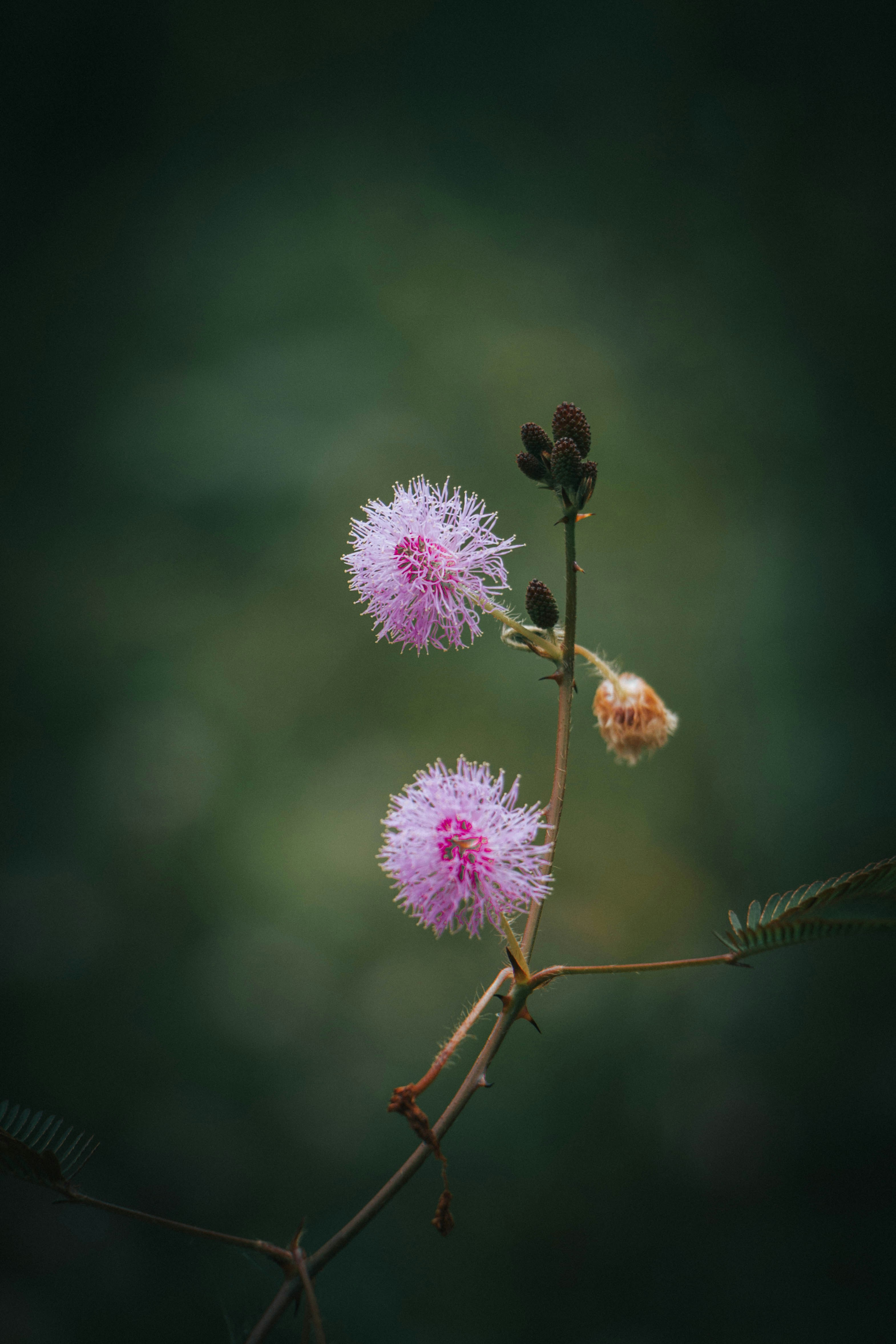 Photo by rishabh_mathew