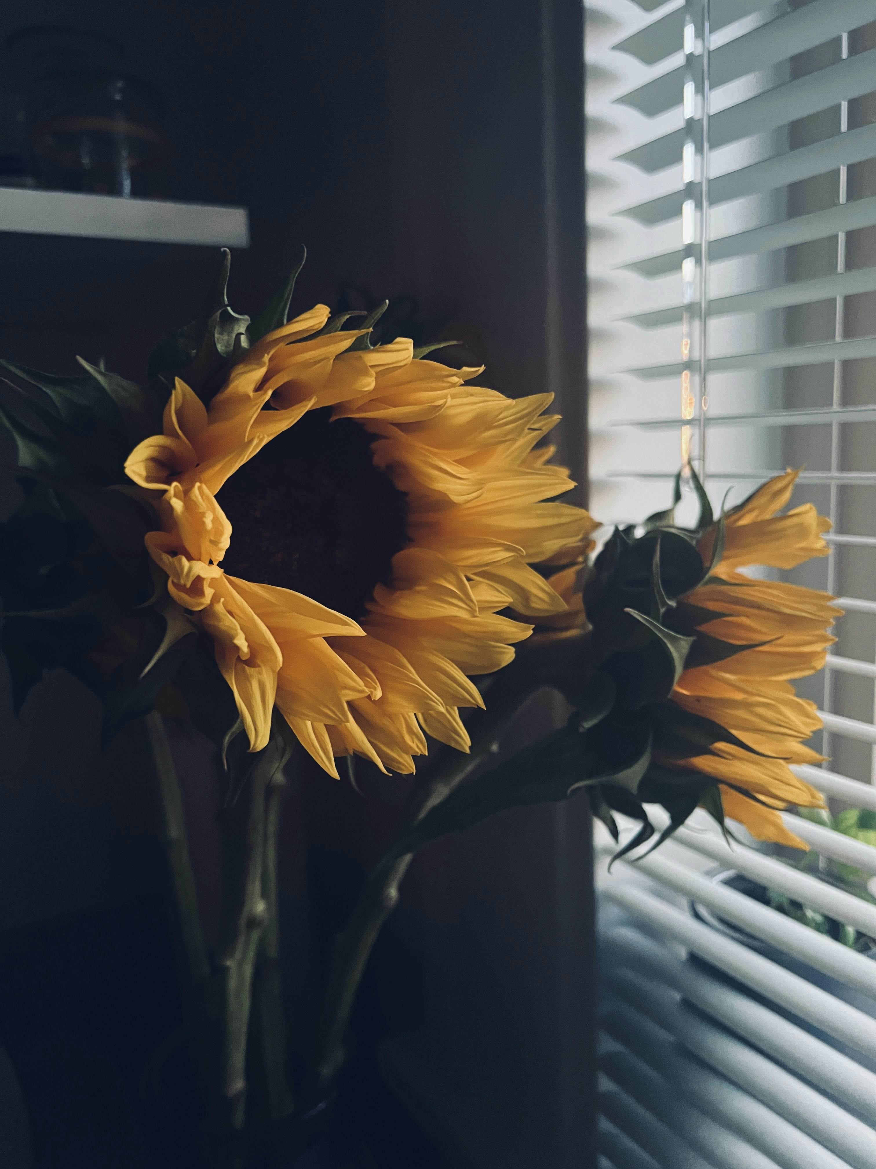 Heartfelt video montage featuring messages from loved ones