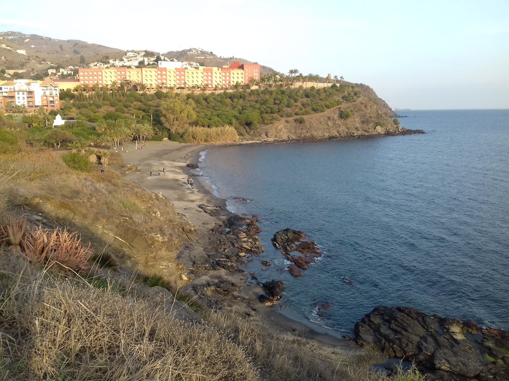 a beach with buildings on the other side of it