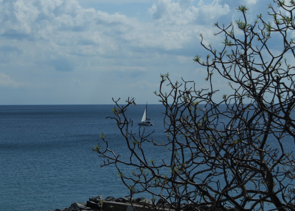 a boat in the water