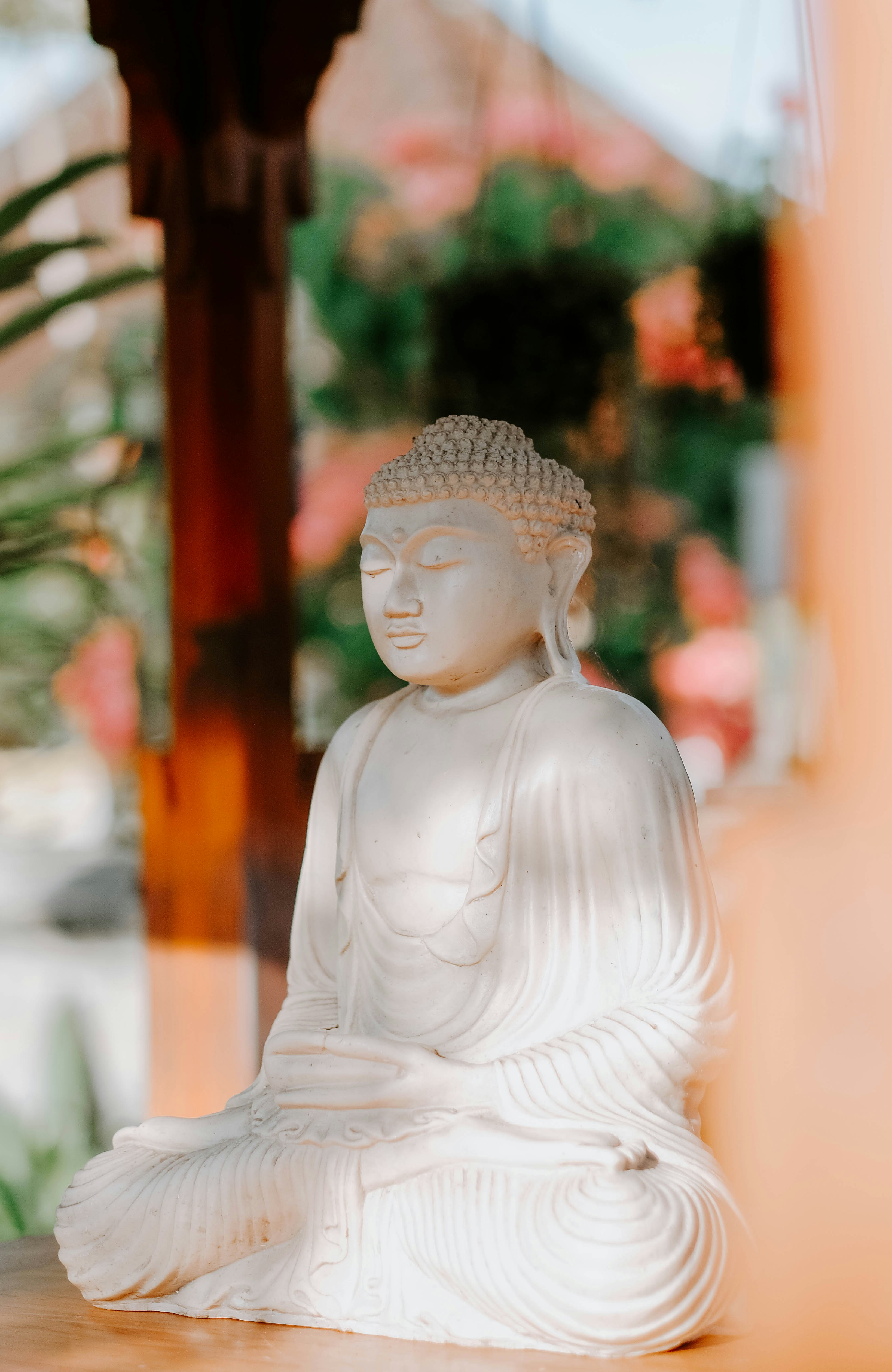 Photo by sudharmaputra