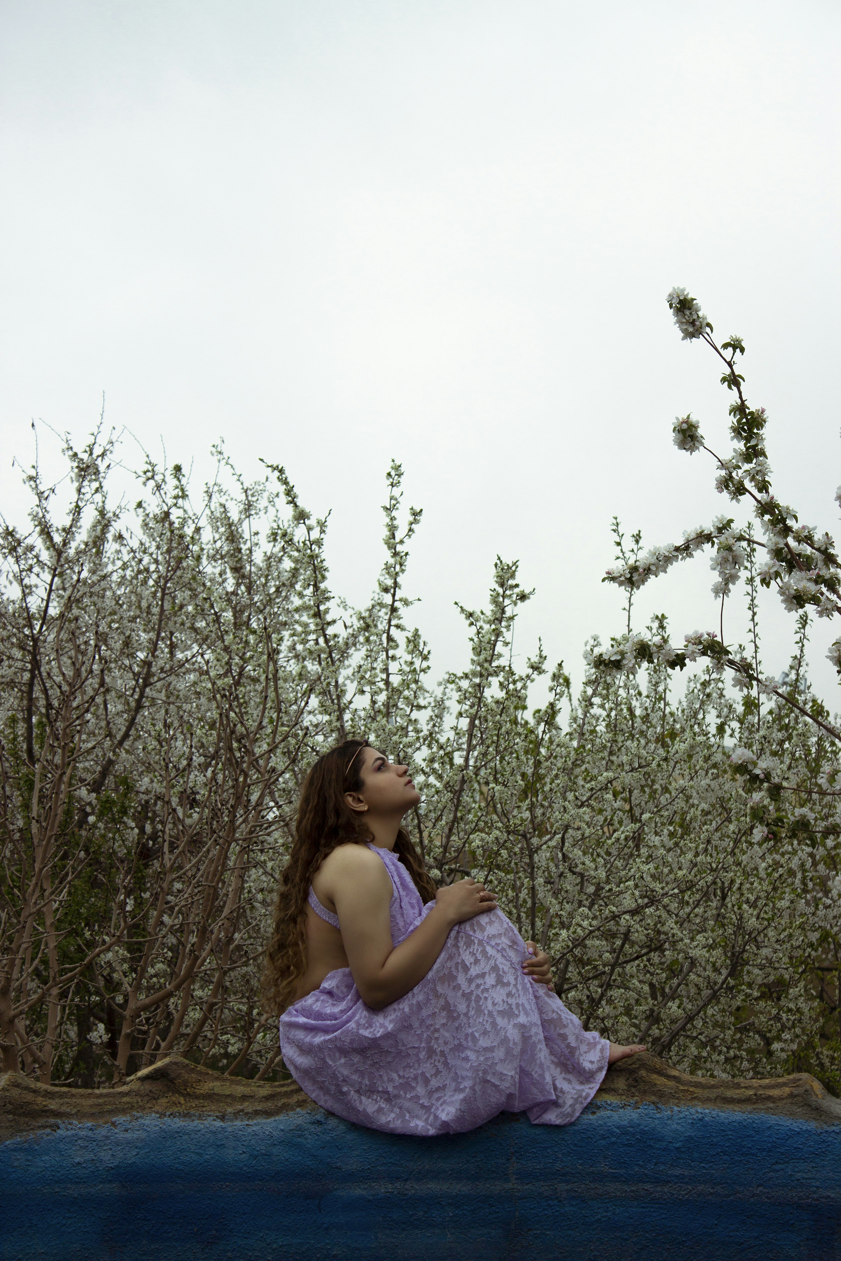 Photo by baranlotfollahi