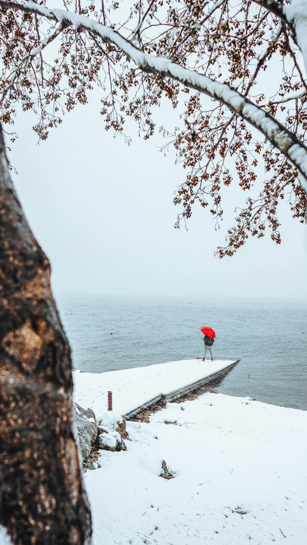 a person holding an umbrella on a dock over water