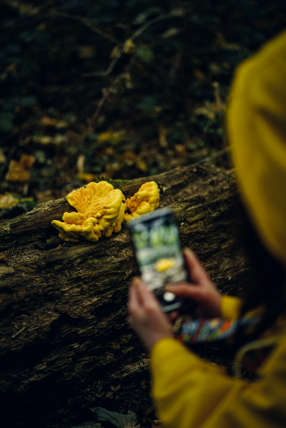 a person holding a cell phone