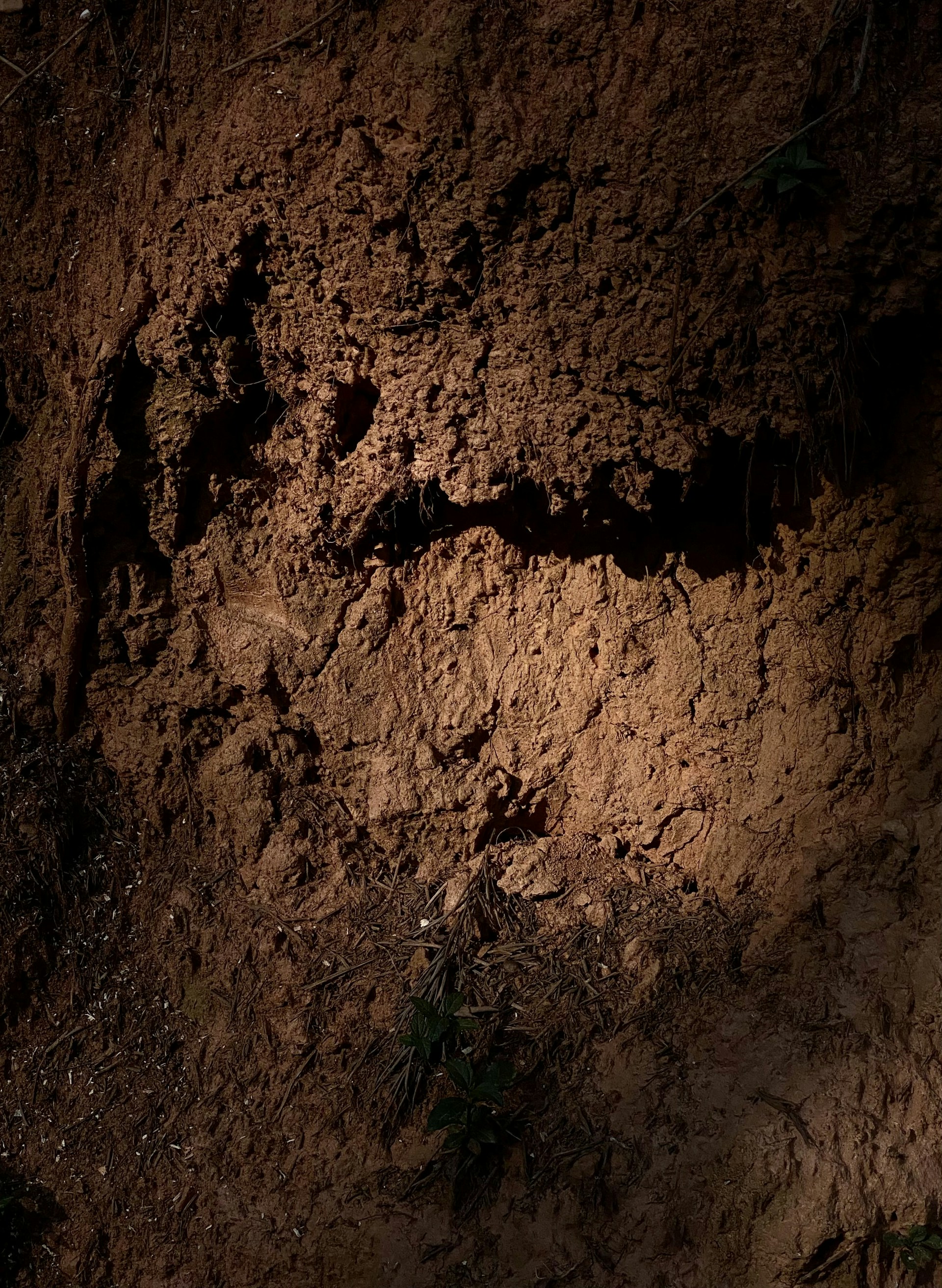 woman wearing yellow long-sleeved dress under white clouds and blue sky during daytime