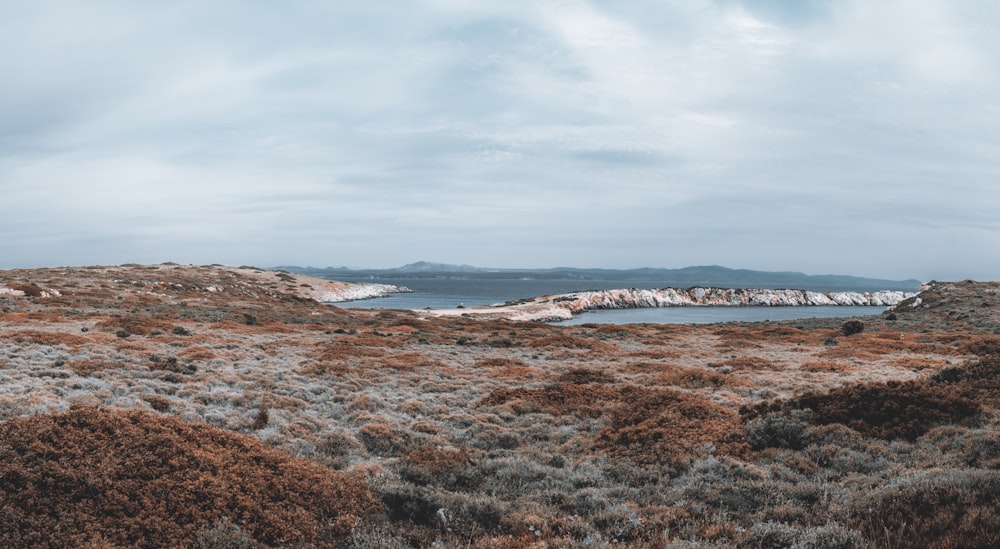 a rocky beach with a body of water in the background