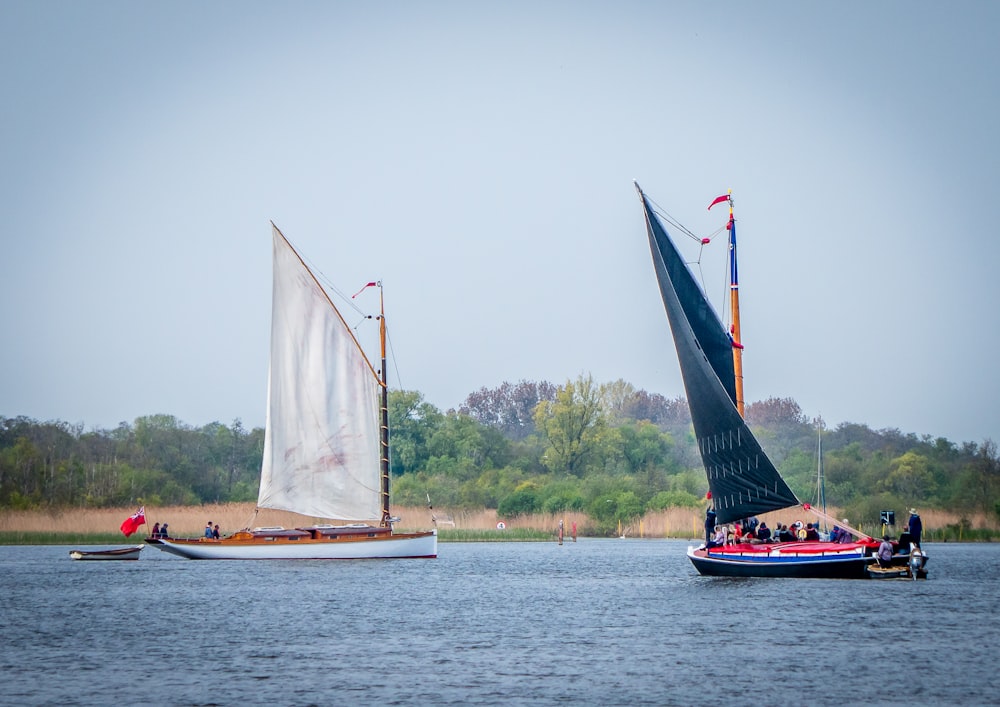 a couple of sailboats on the water