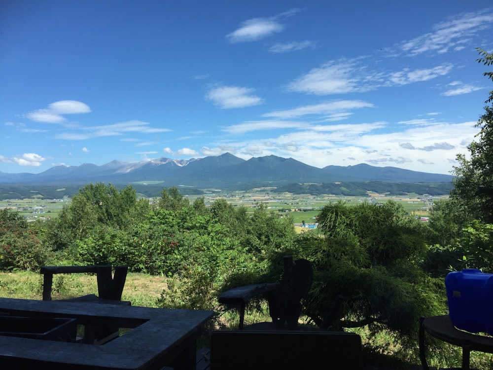 a view of a city and mountains