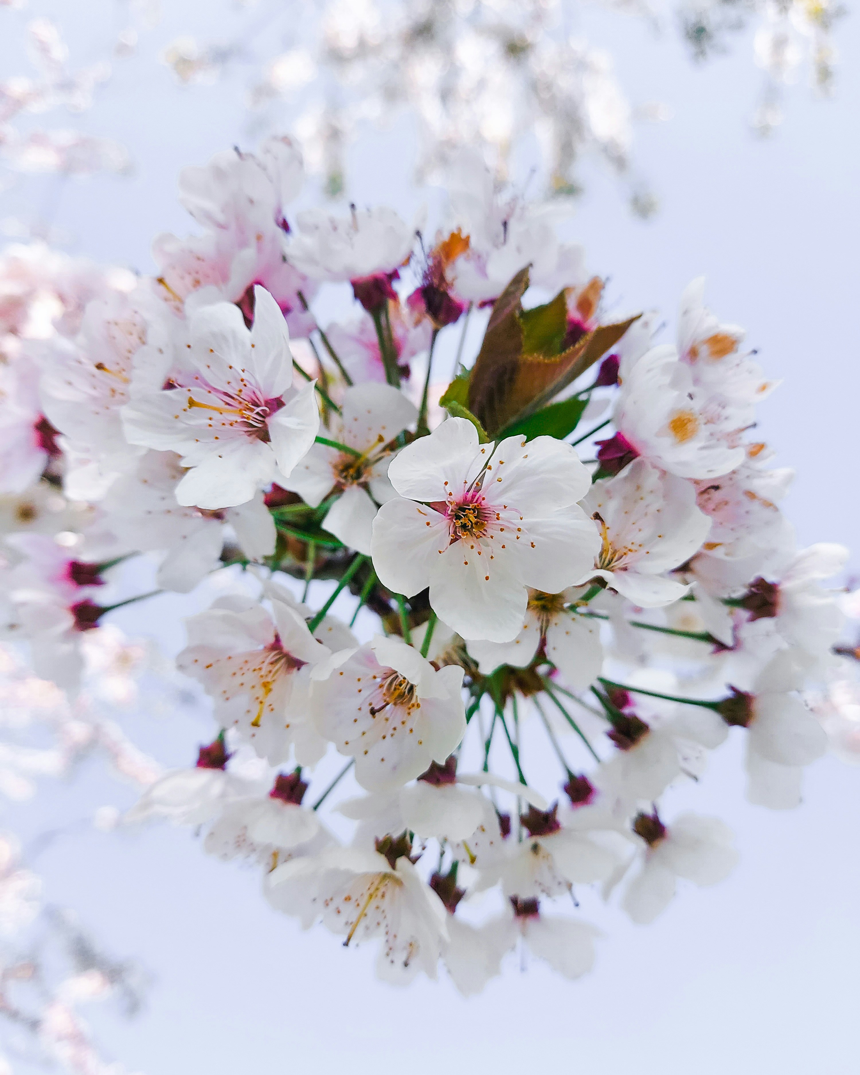 Photo by dmadventure