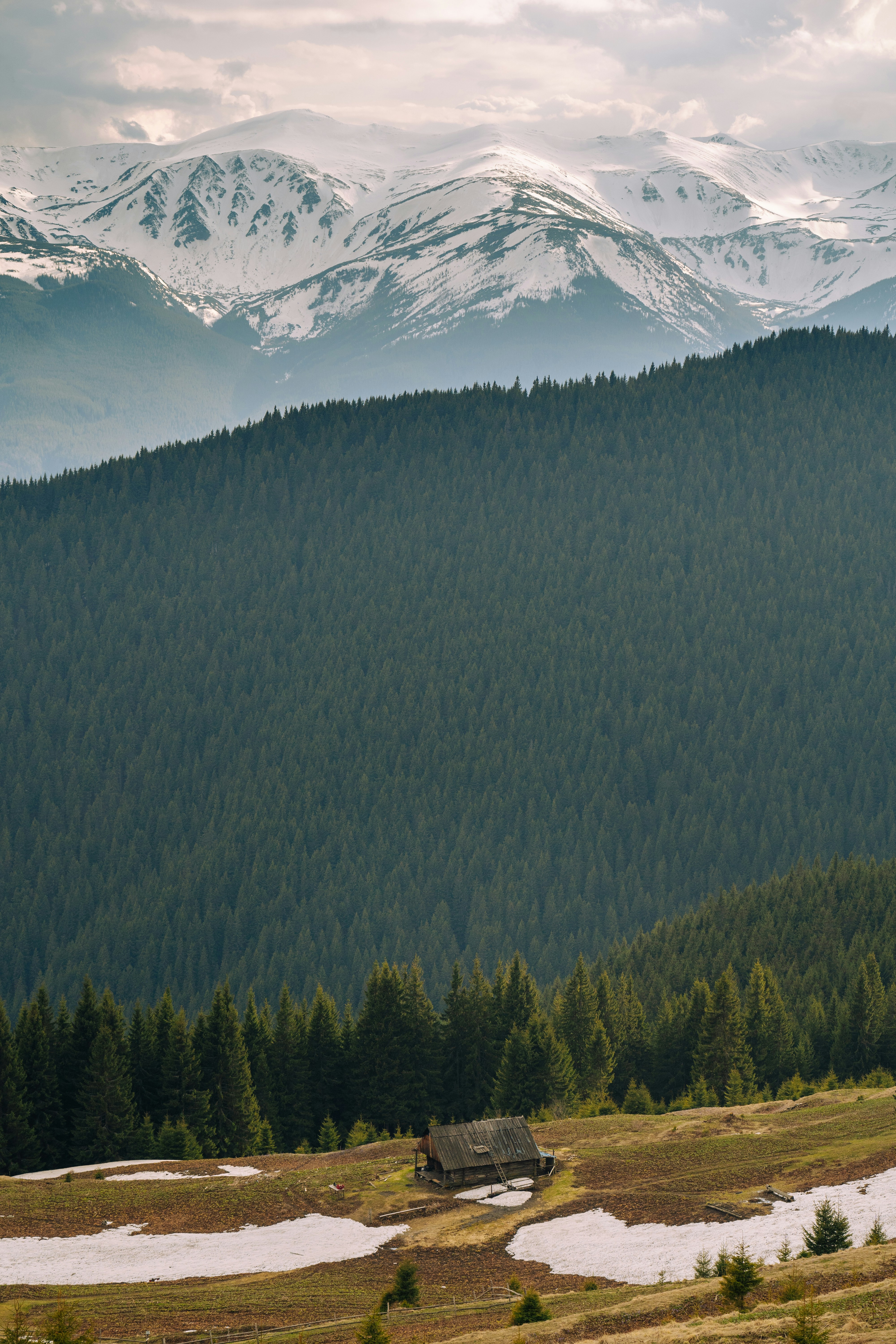 Photo by fedorchenkoalina