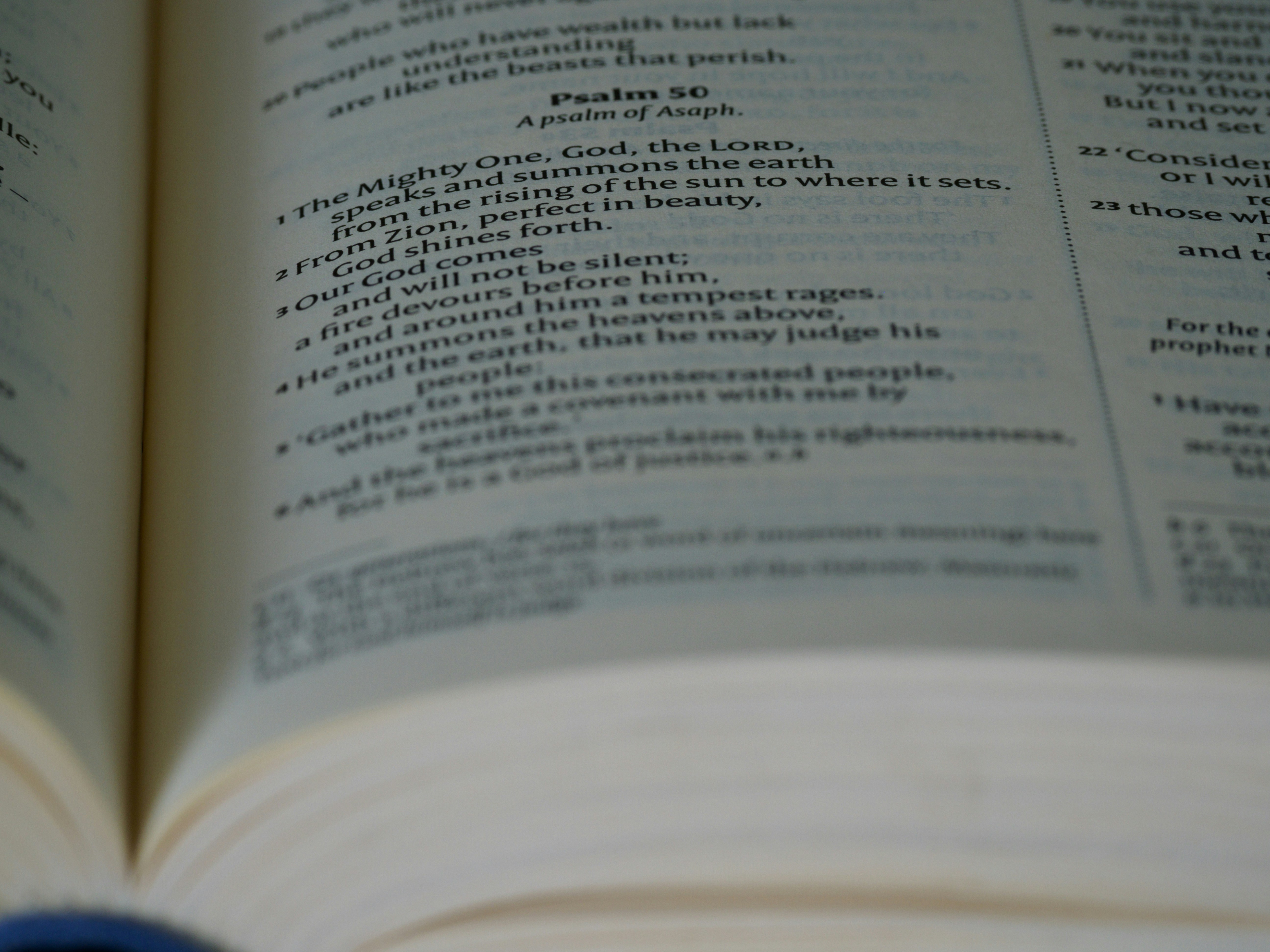 Photo by brett_jordan