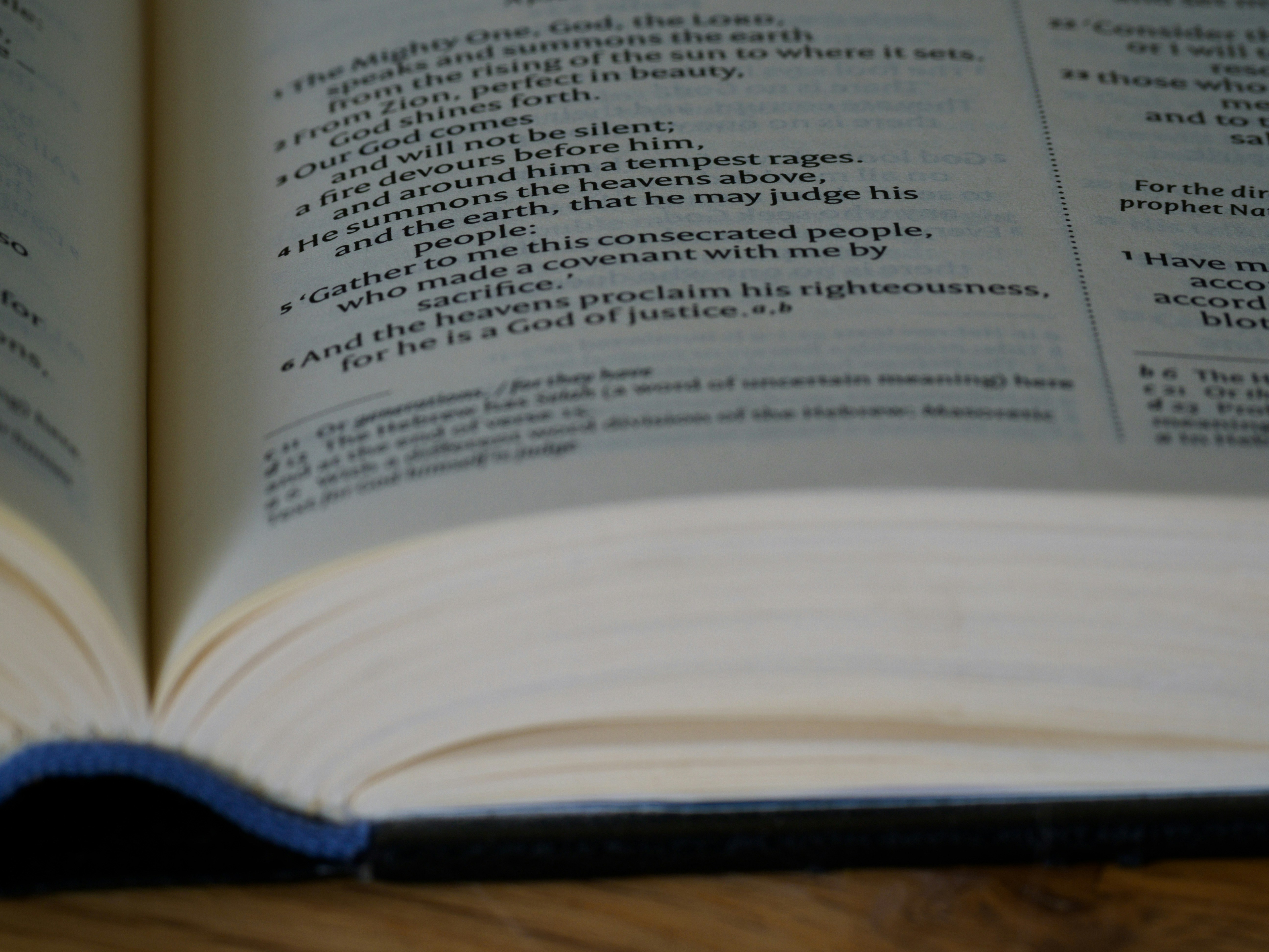 Photo by brett_jordan