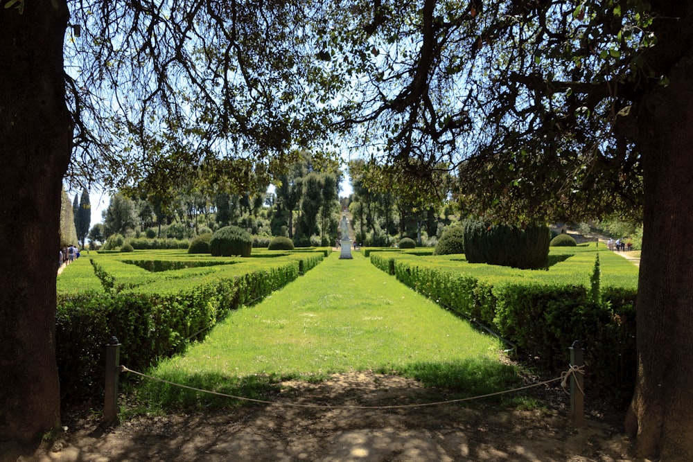 a large green lawn with trees