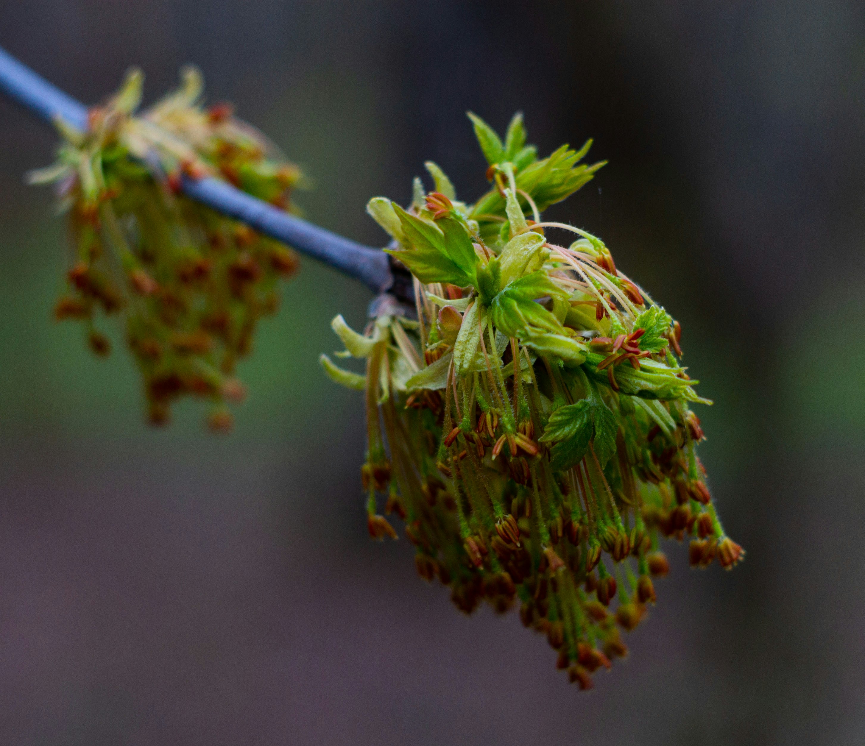 Photo by kolosovskiy