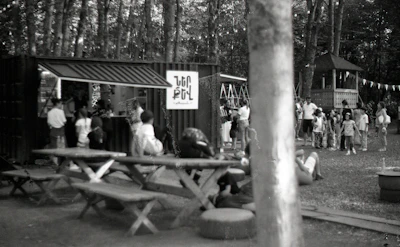A vibrant color photo of the annual Enon Valley community picnic held in the local park with families gathered around picnic tables.