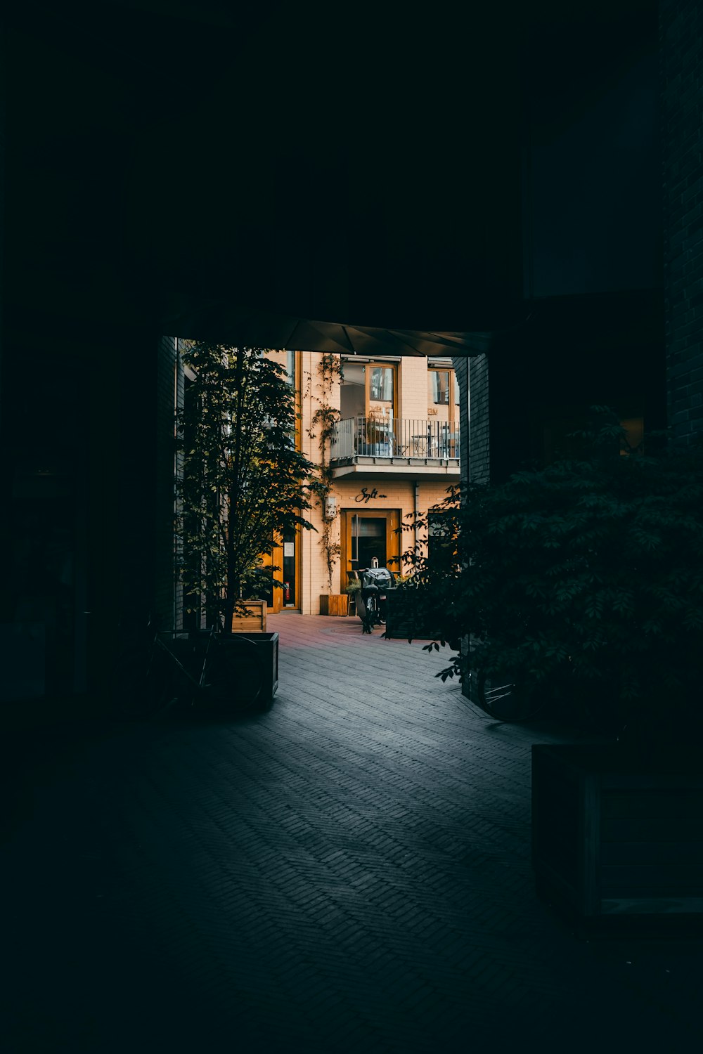 a house with trees and bushes