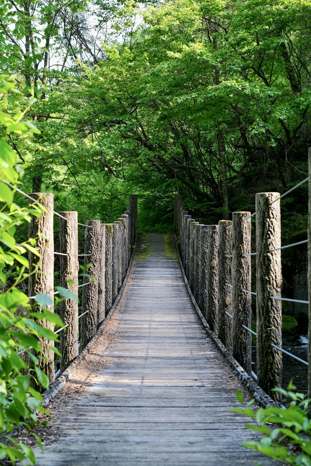 a wooden bridge in a forest