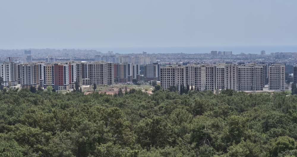 a city skyline with trees