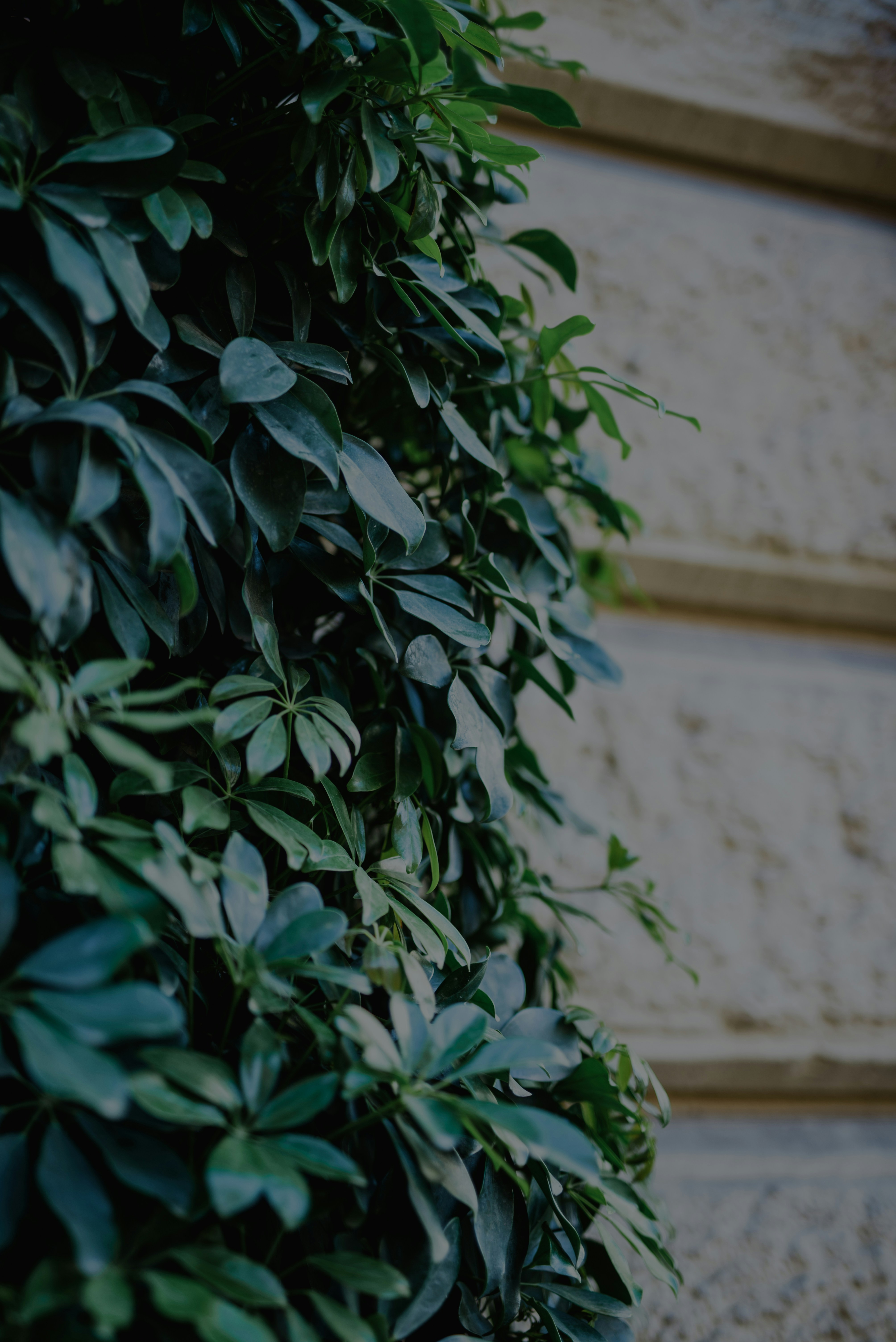 Photo by darya_jumelya