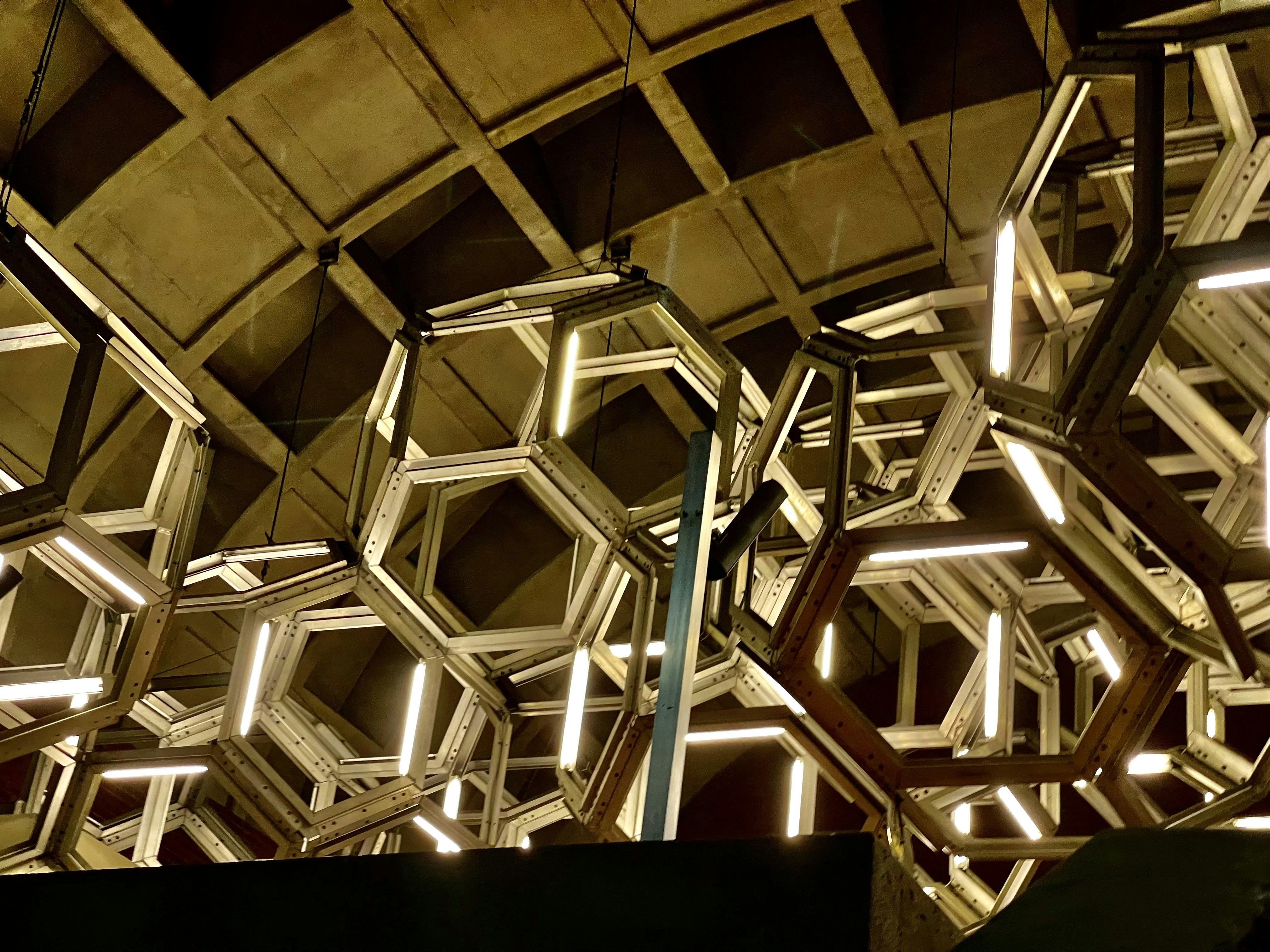 Photo by 03williammoses