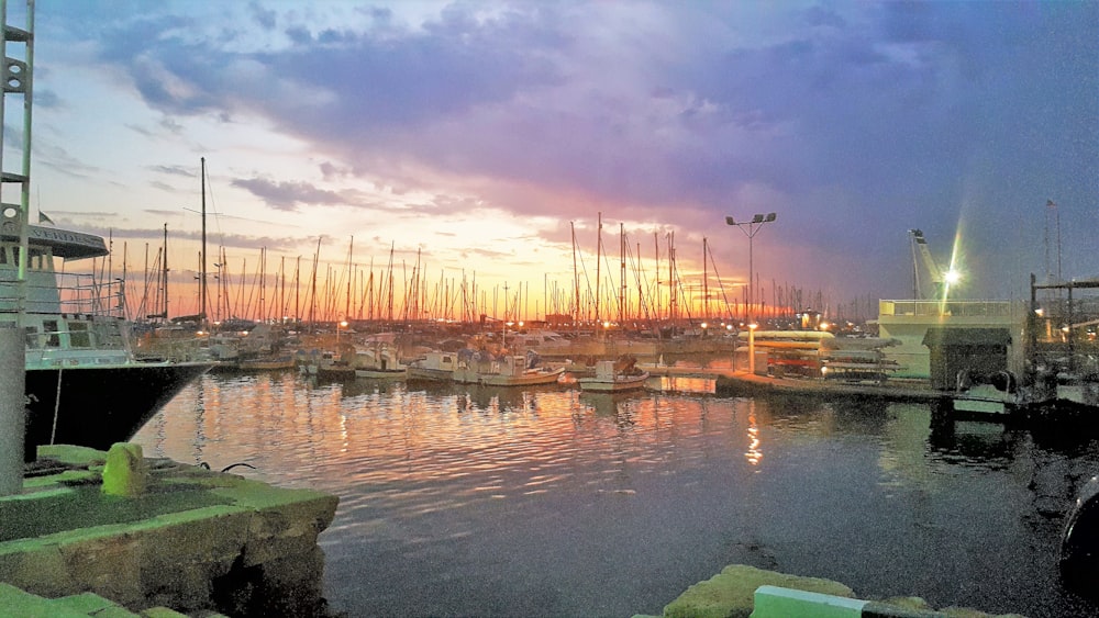 a body of water with boats and buildings around it