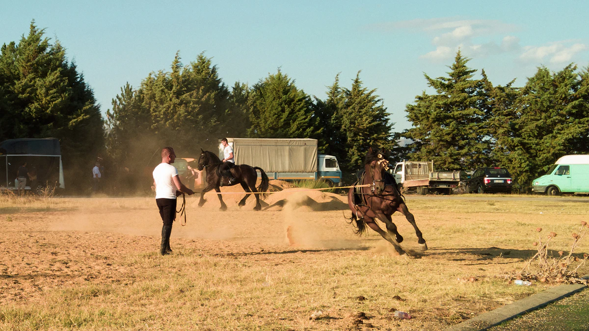 Doma Racional — condução e treino com cavalo