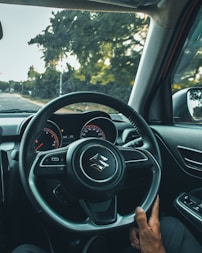 a person holding a steering wheel