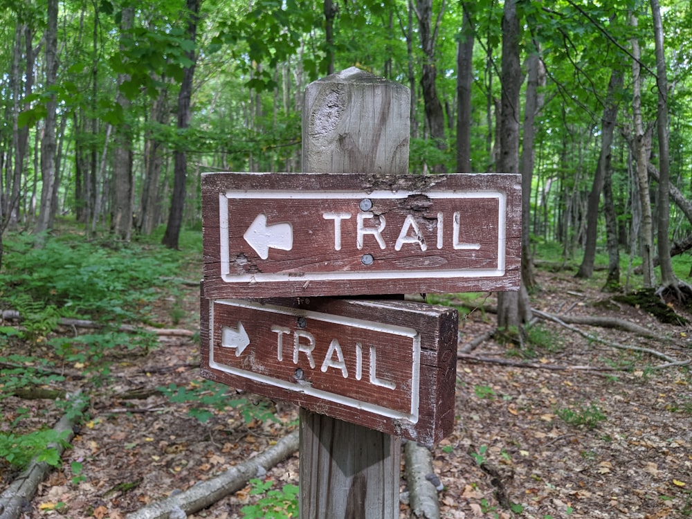 a sign in the woods