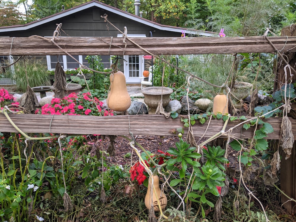 a garden with a fence and flowers