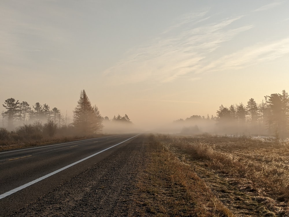 a road with trees on the side