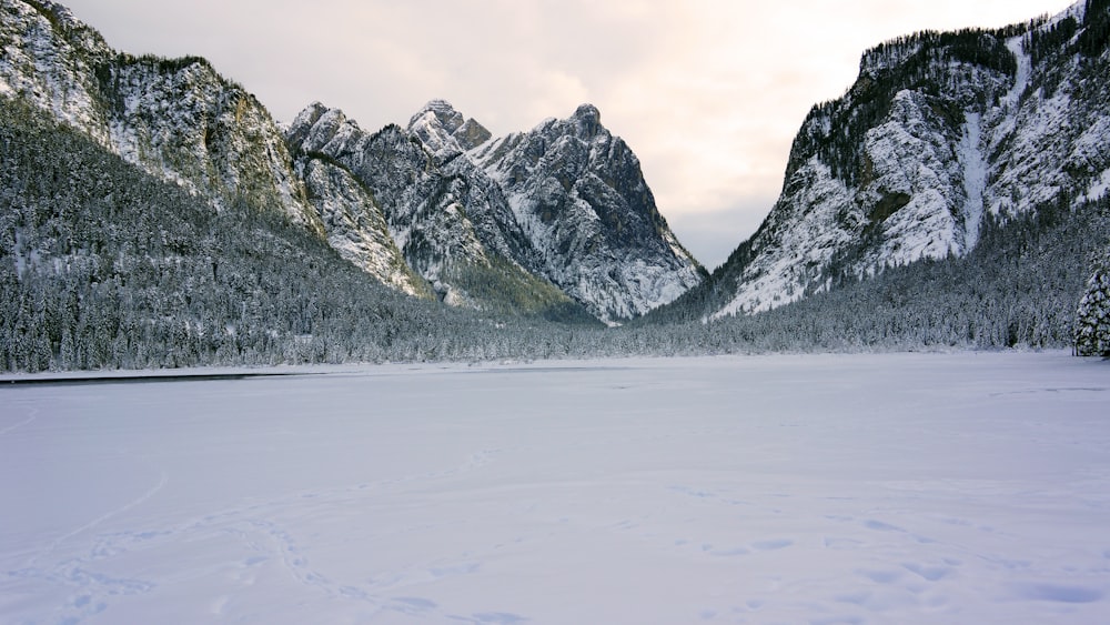 a snowy landscape with mountains in the background