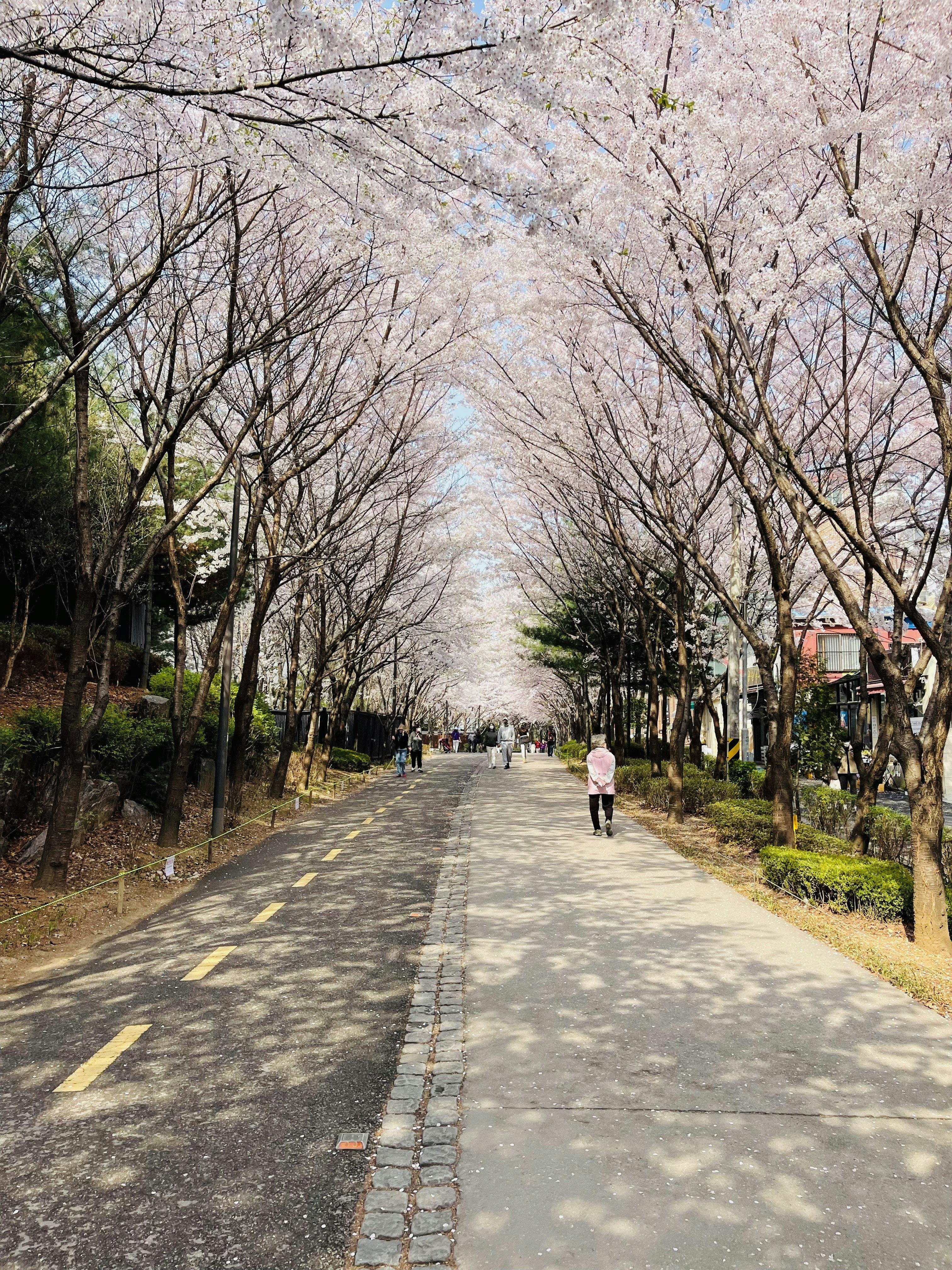 Photo by hong_amateurish