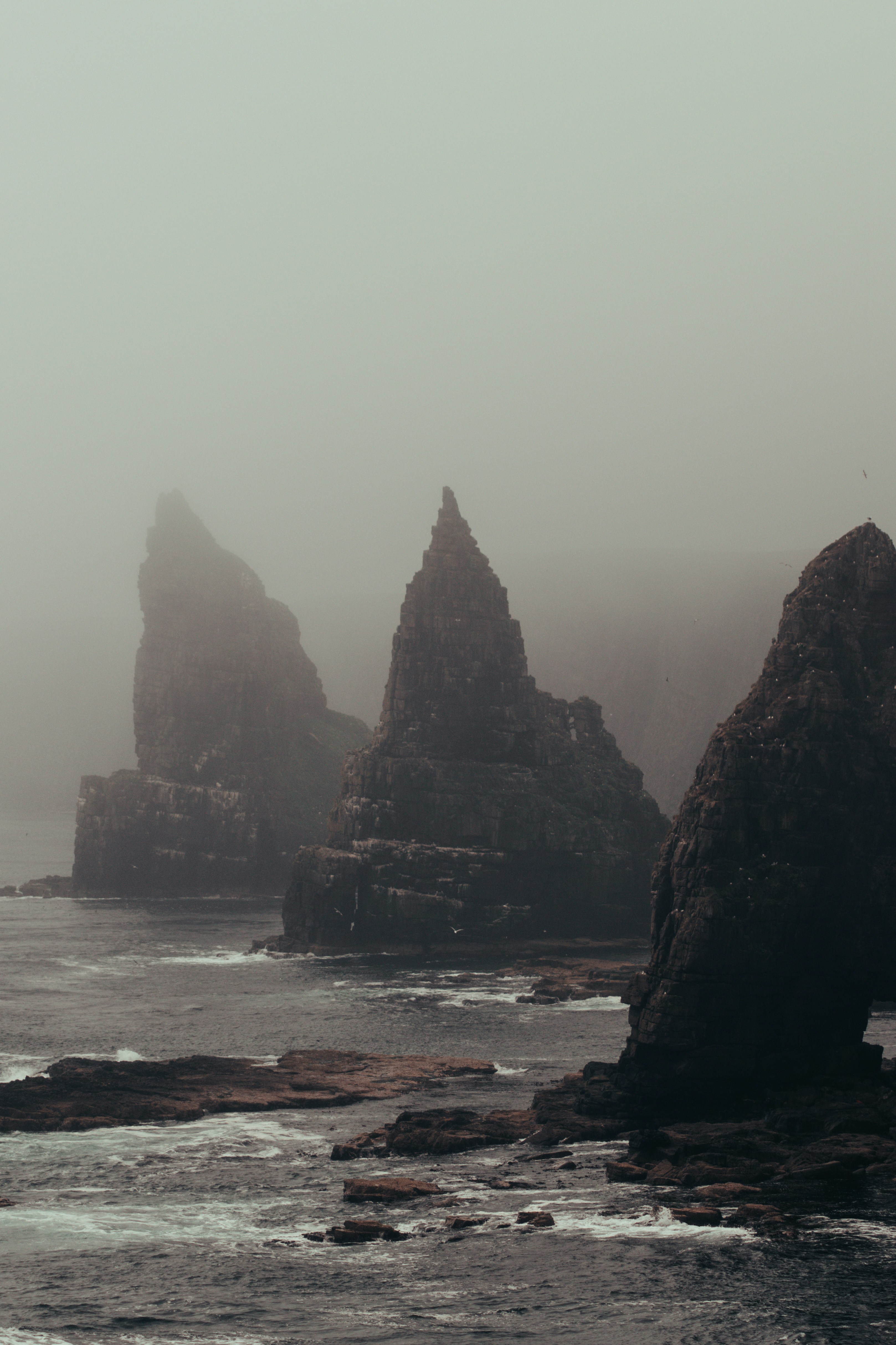 Photo by jackwhite2803