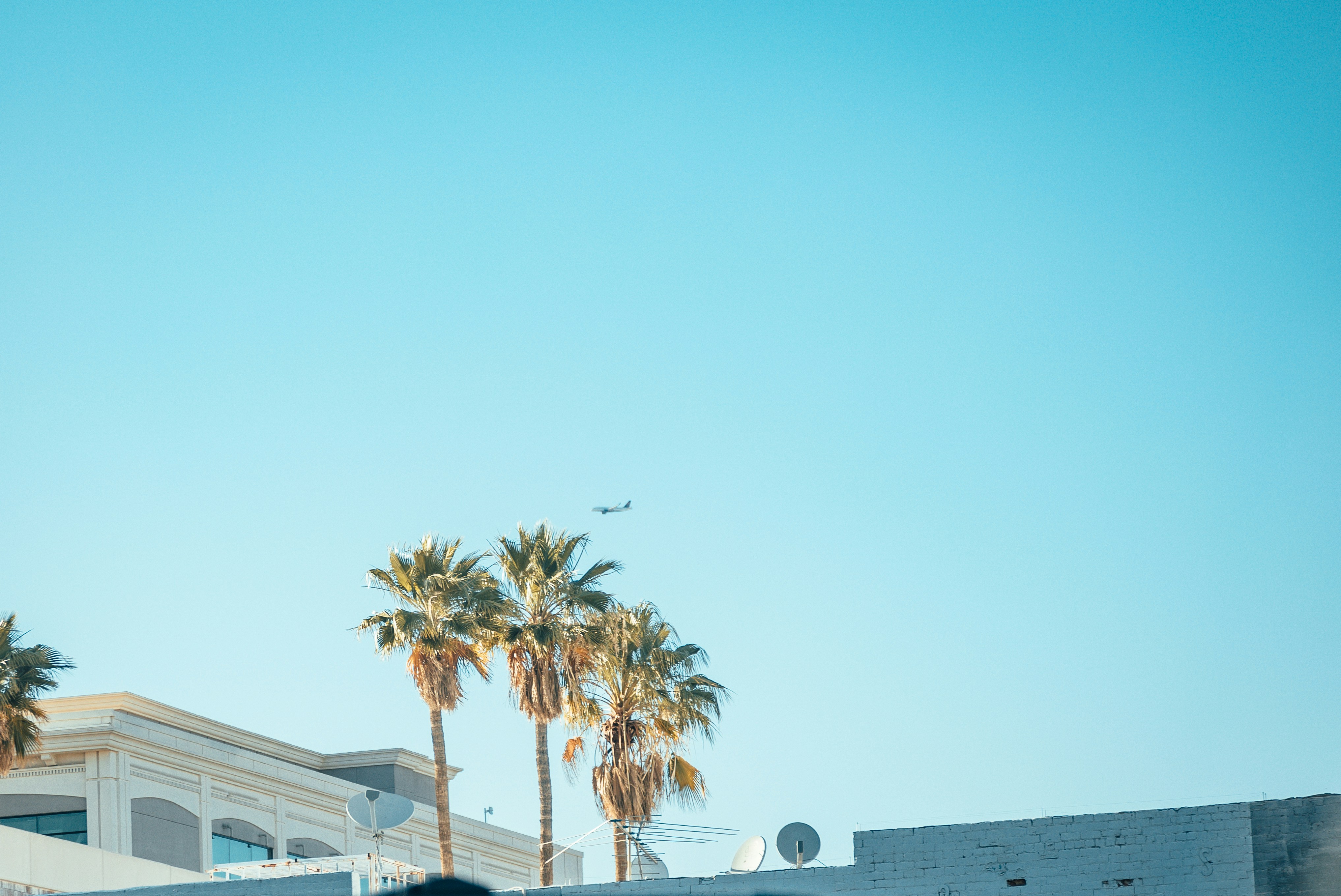 Photo by jeffersonsees