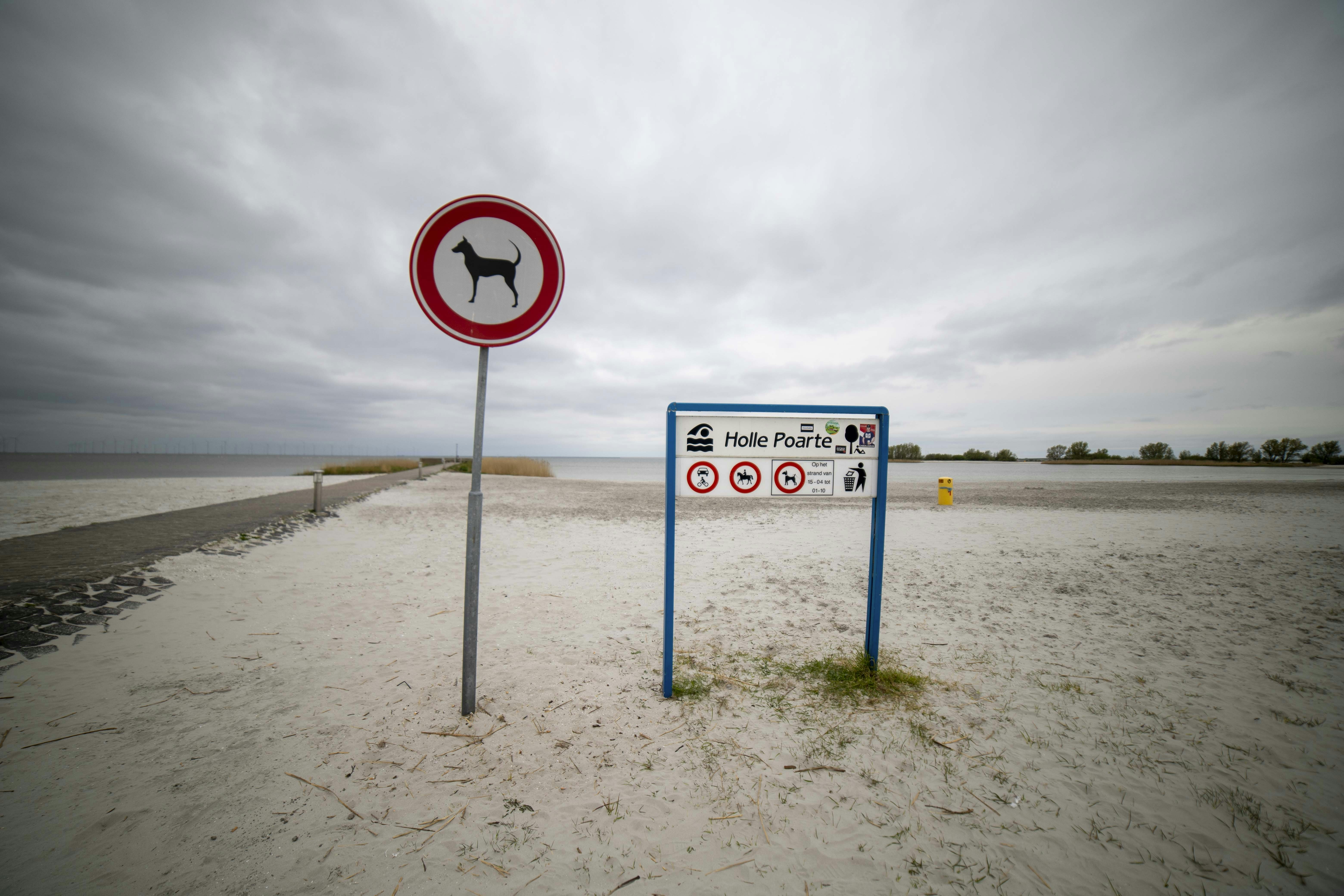 Afbeelding van Makkum