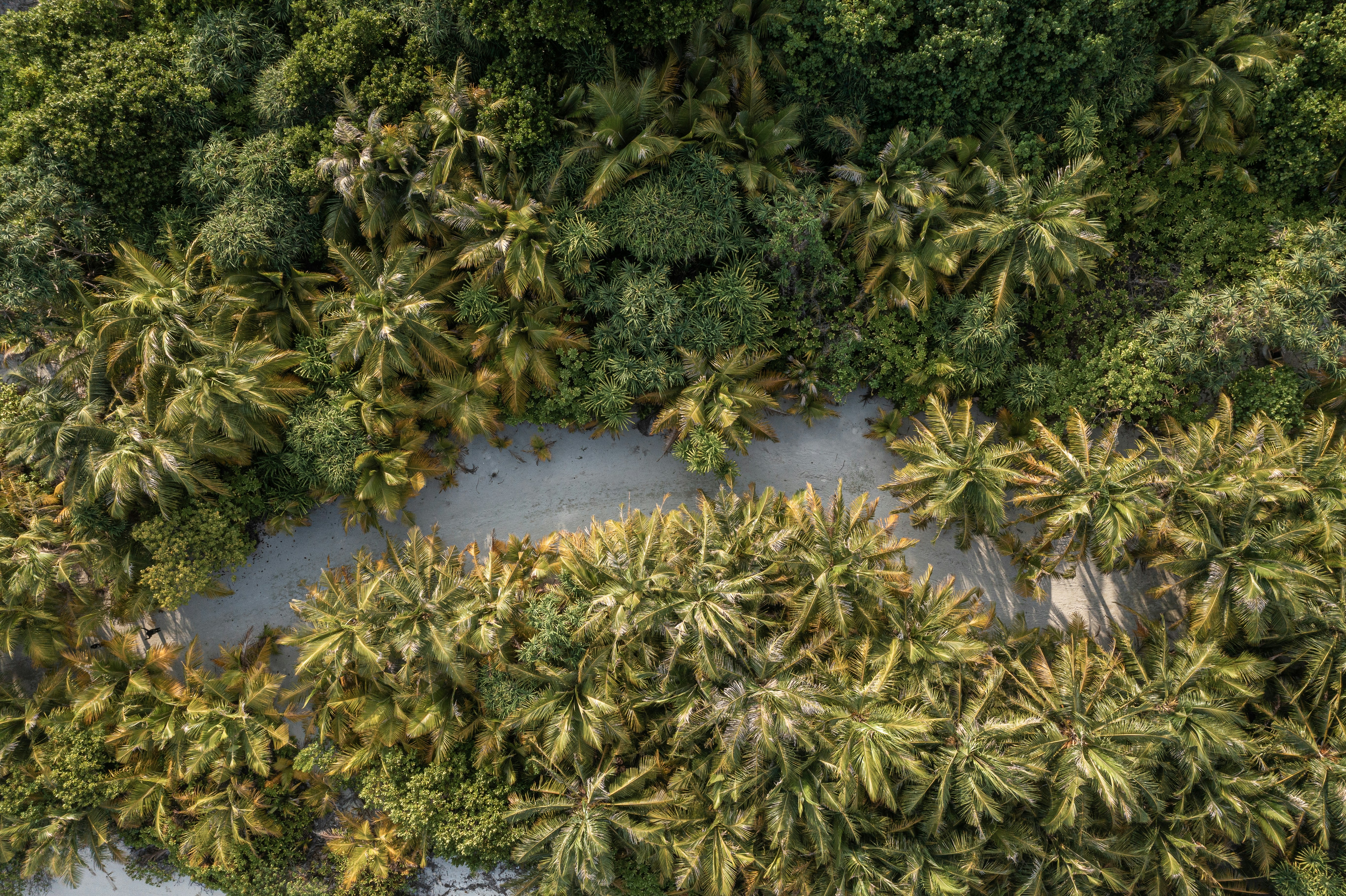 Photo by muaphotos_maldives