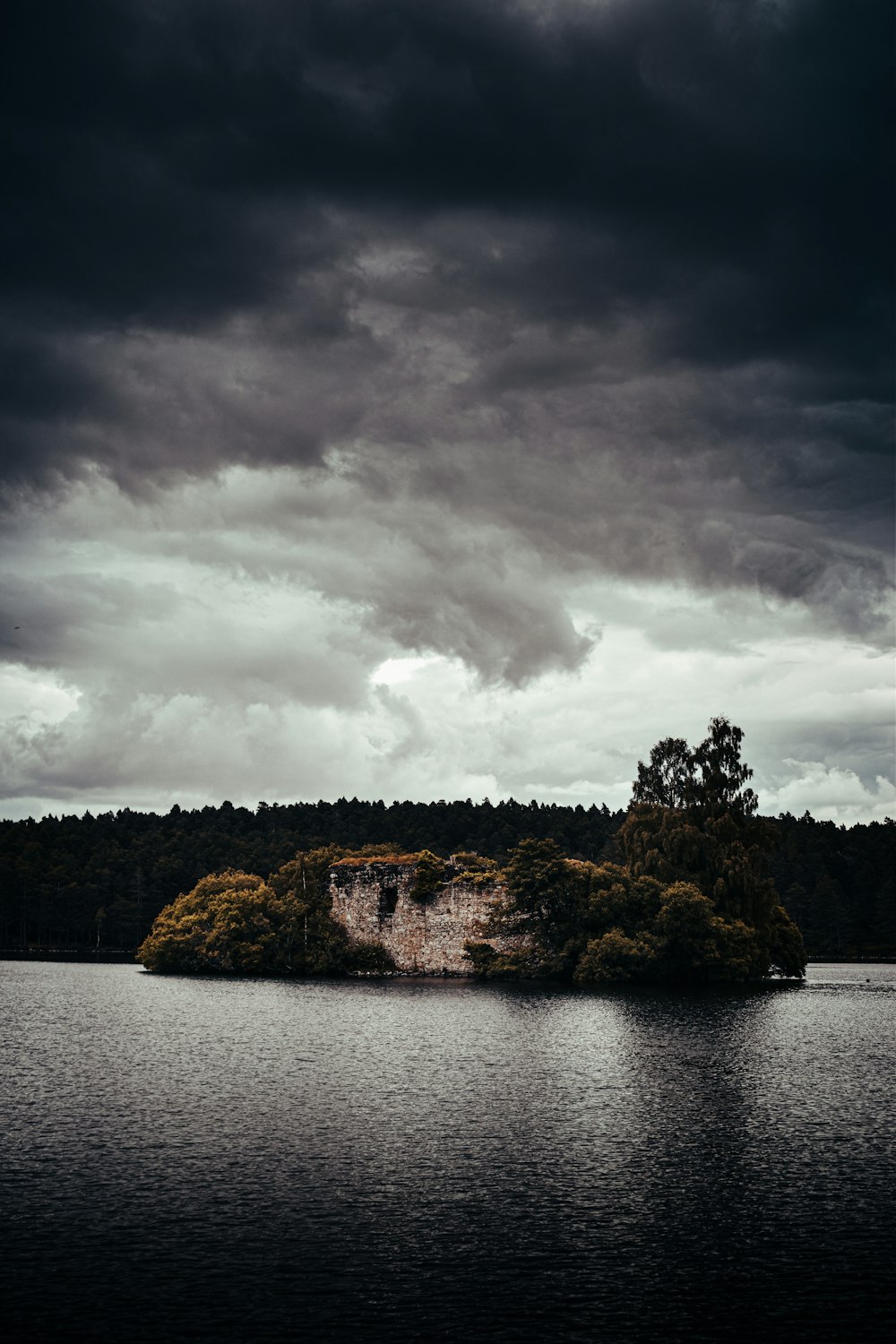 a body of water with trees and a rock island in the middle