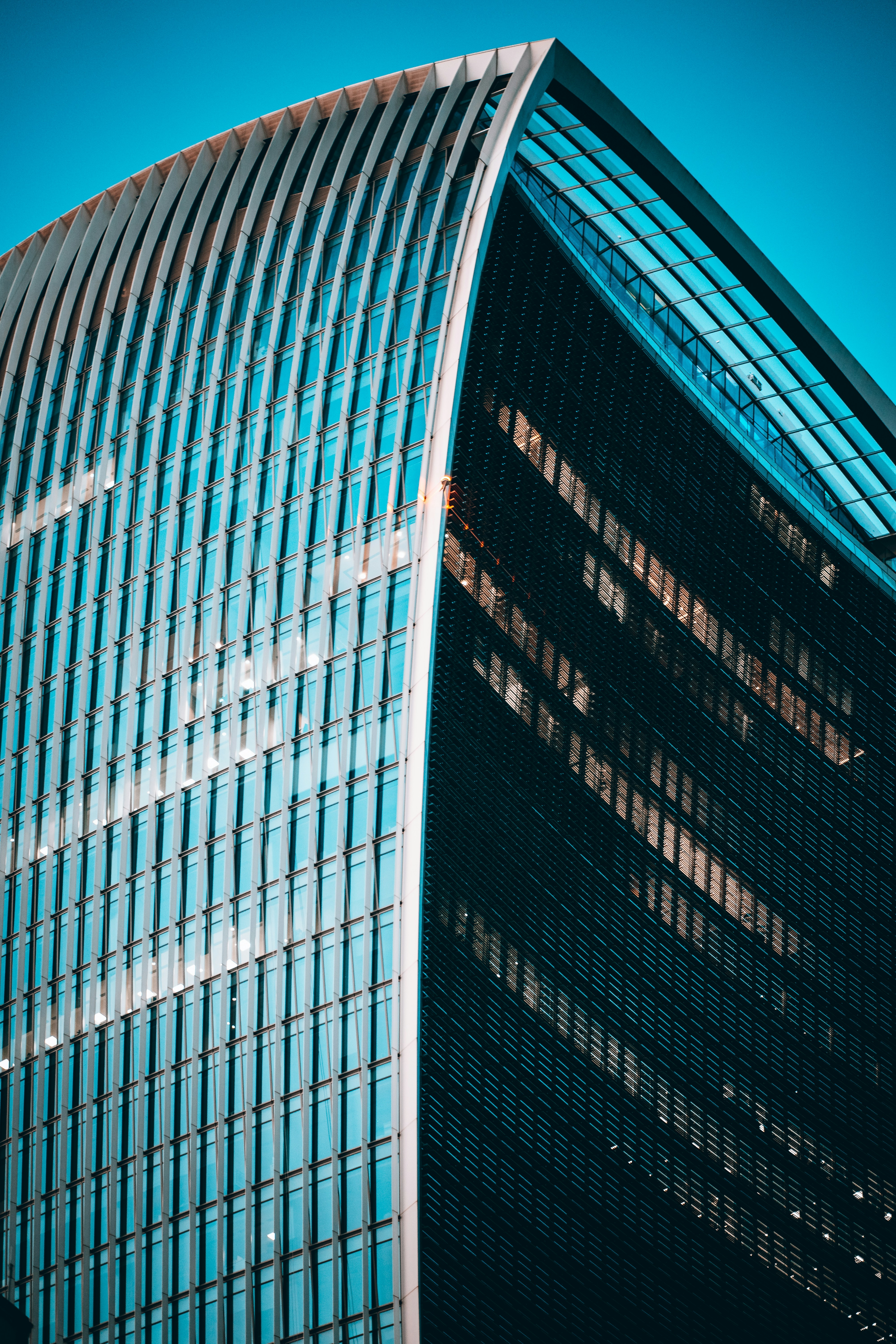 Photo by shields_mcmxcix