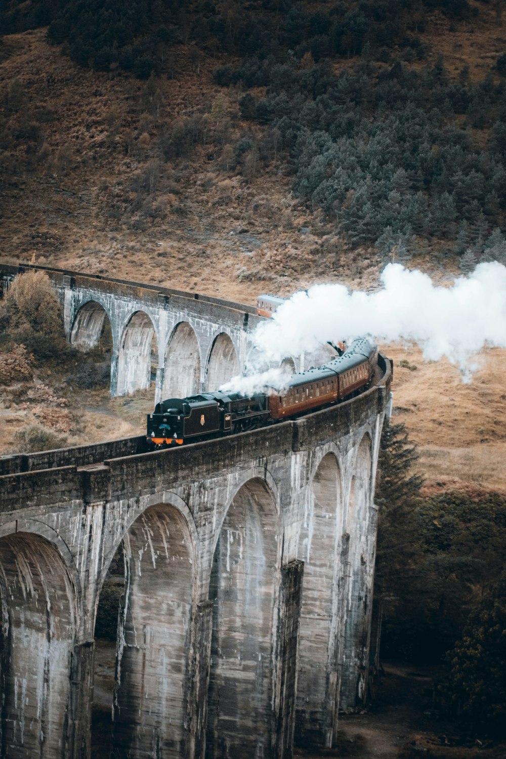 a train on a bridge