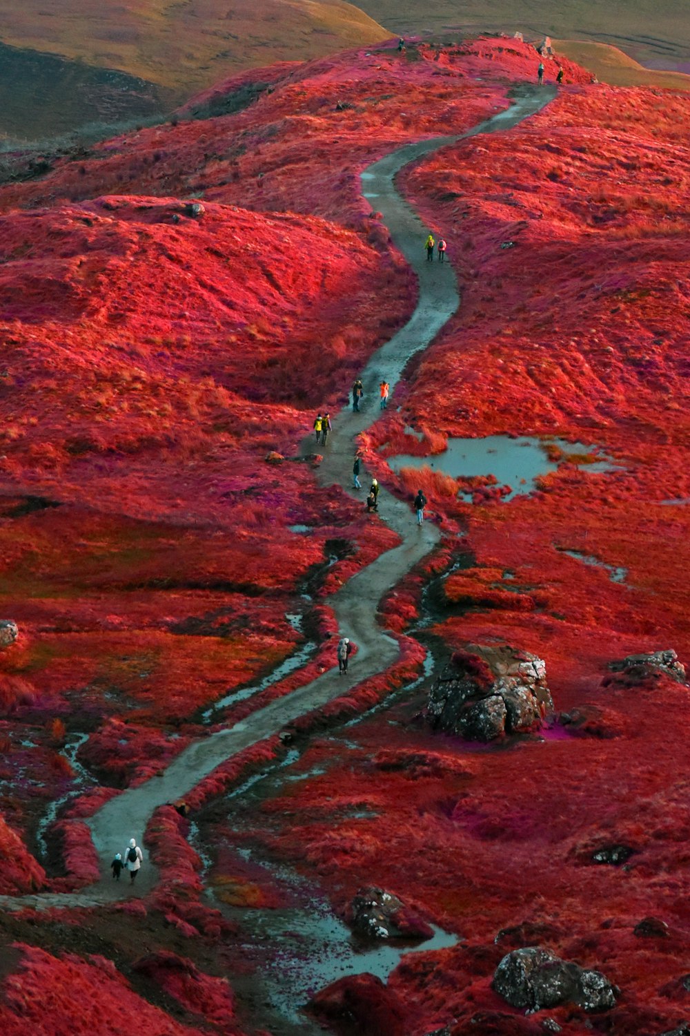 a high angle view of a river