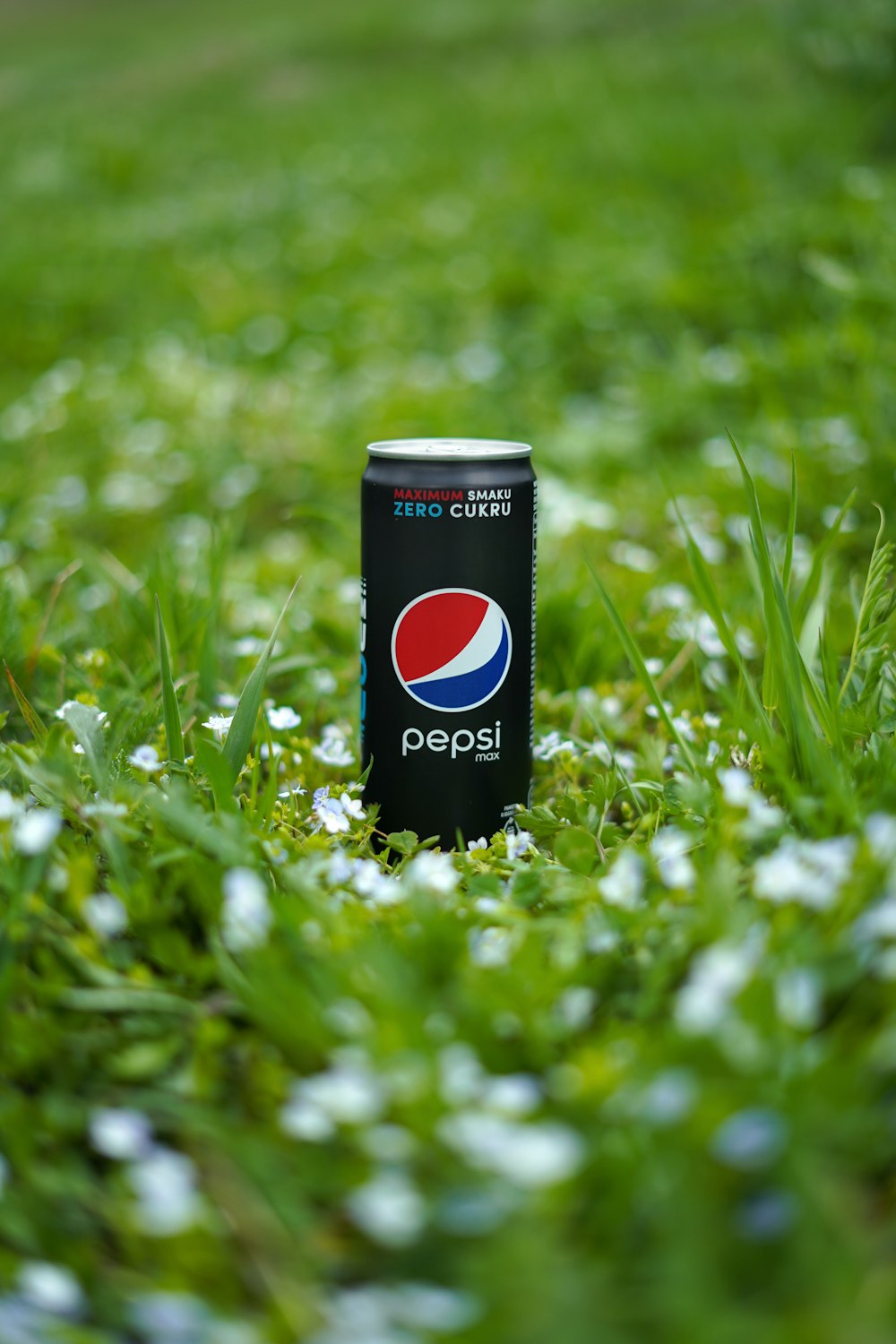a can of soda on a plant