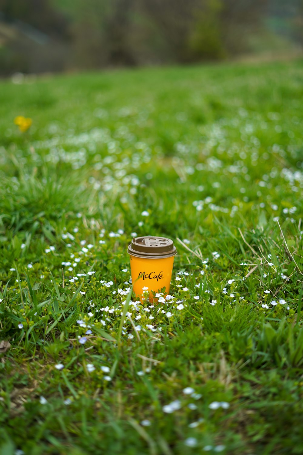 a small container in a field of grass